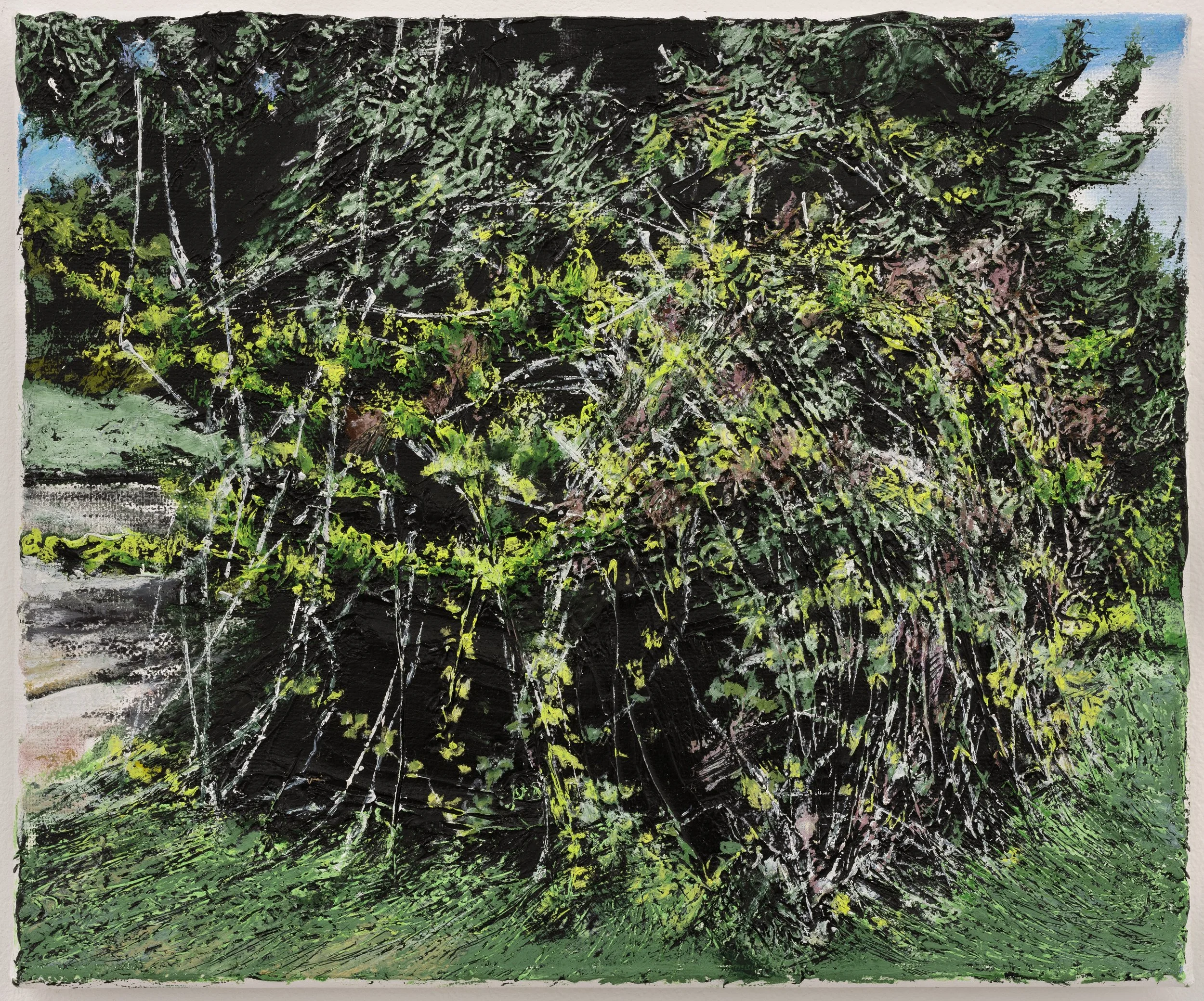 ZAD (VI), 2025