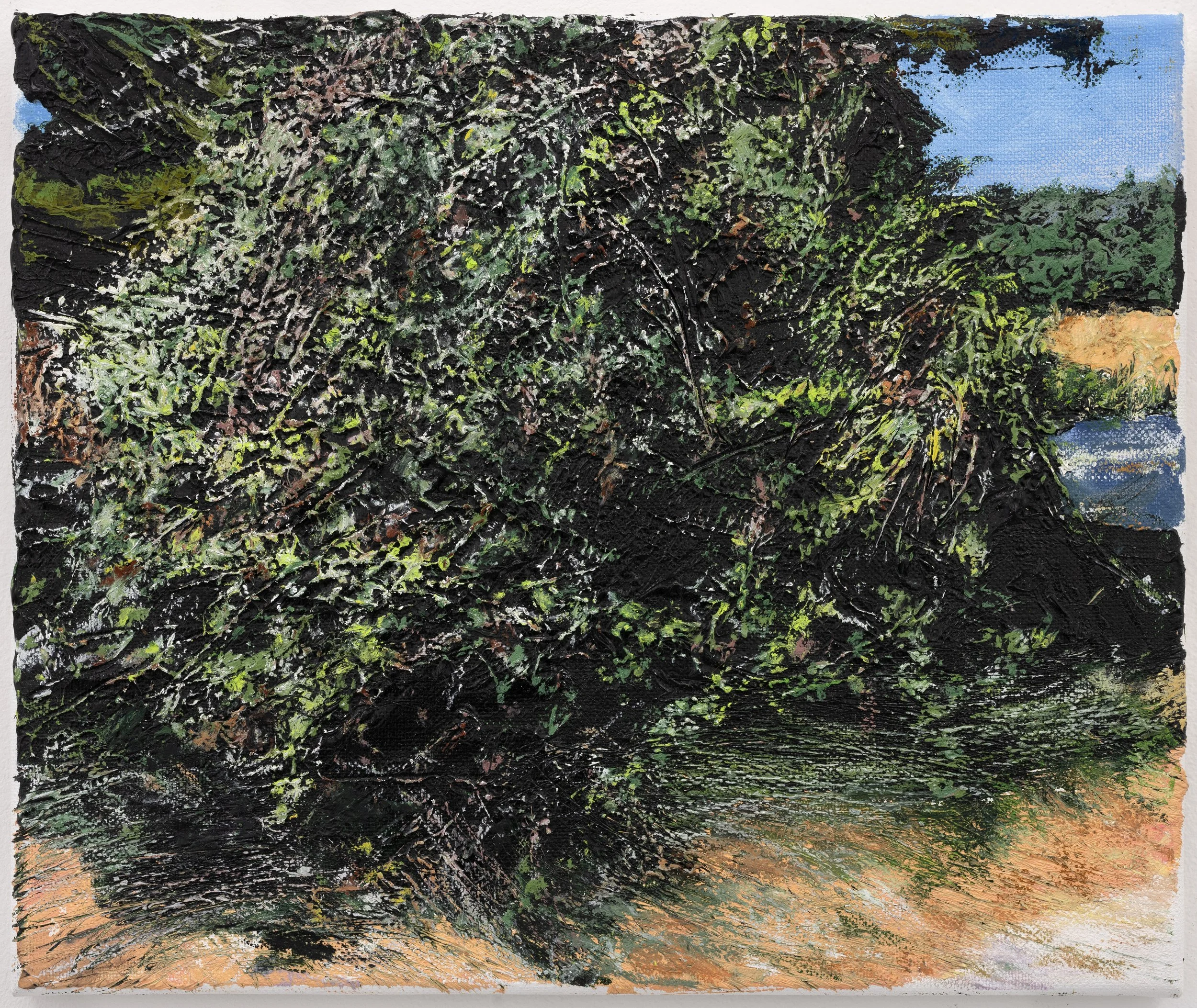 ZAD (V), 2024