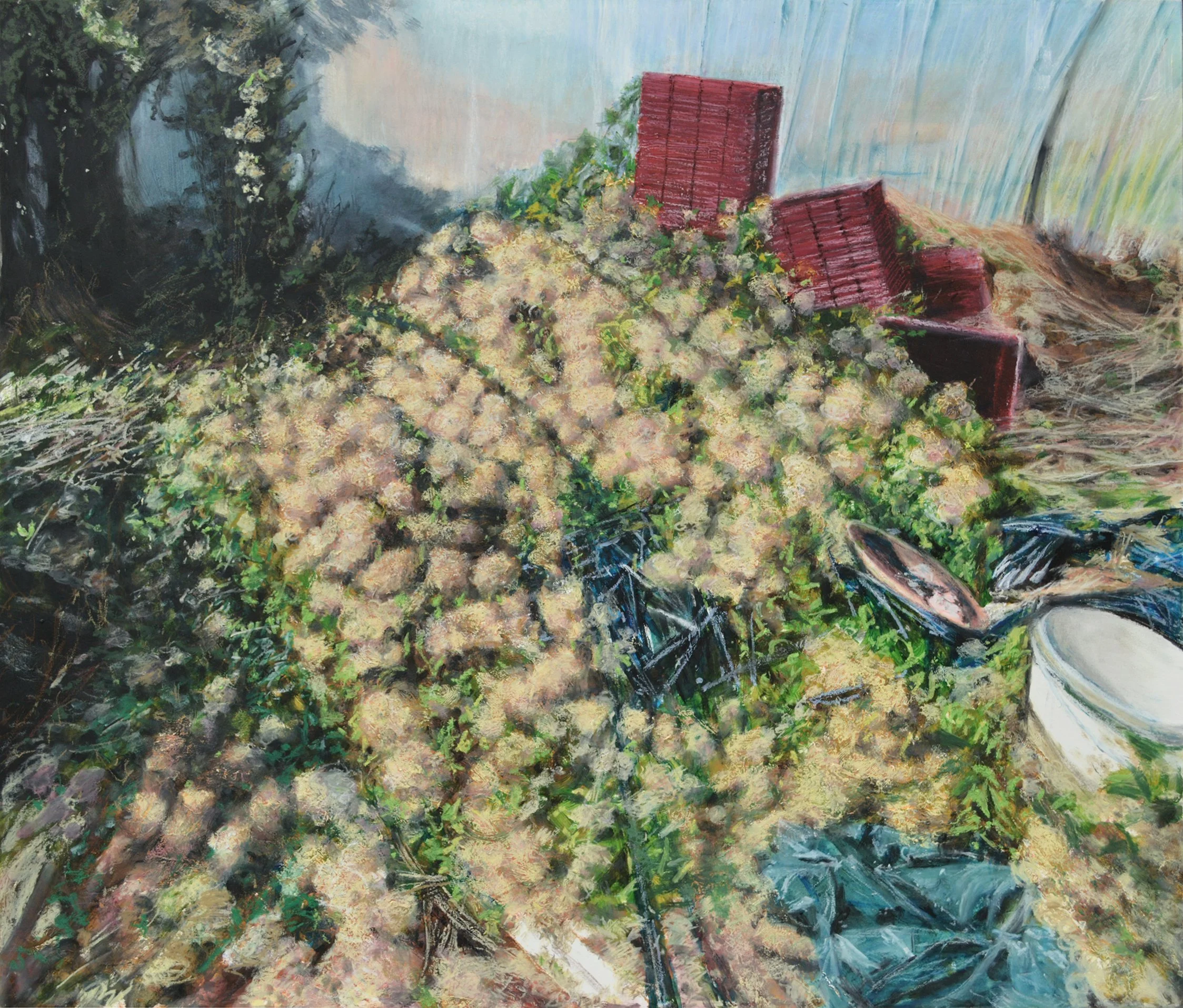 caisses+rouges+75x88cm+pastel+2023.jpg