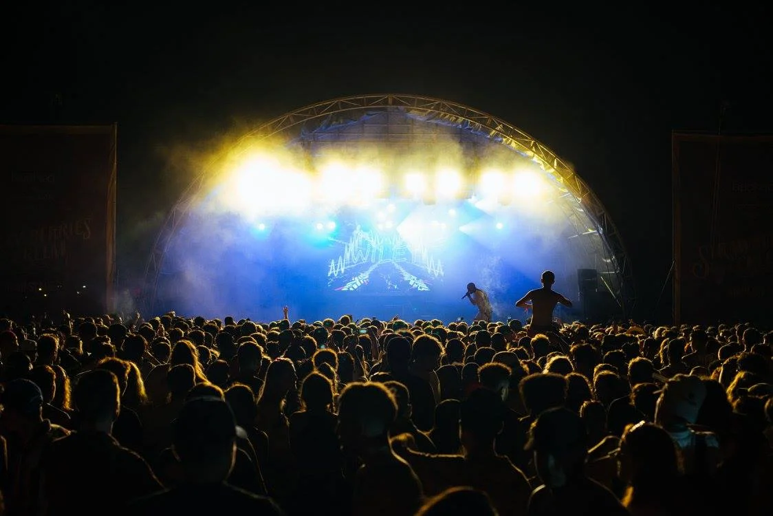Wiley on stage.jpg