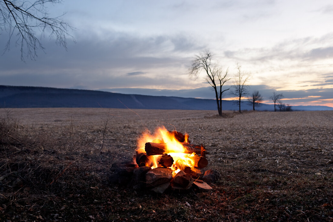   Bonfire on the Hedgerow, 2010  