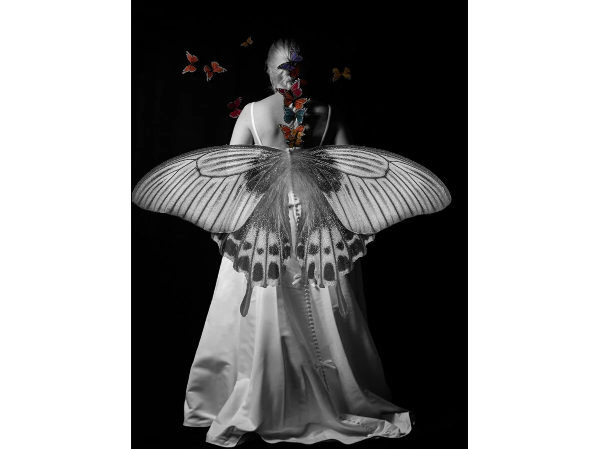 005_Valerie Duchesneau_FoundMoth.jpg