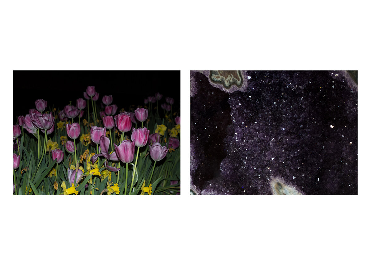 Kimberly Gary_005.jpg