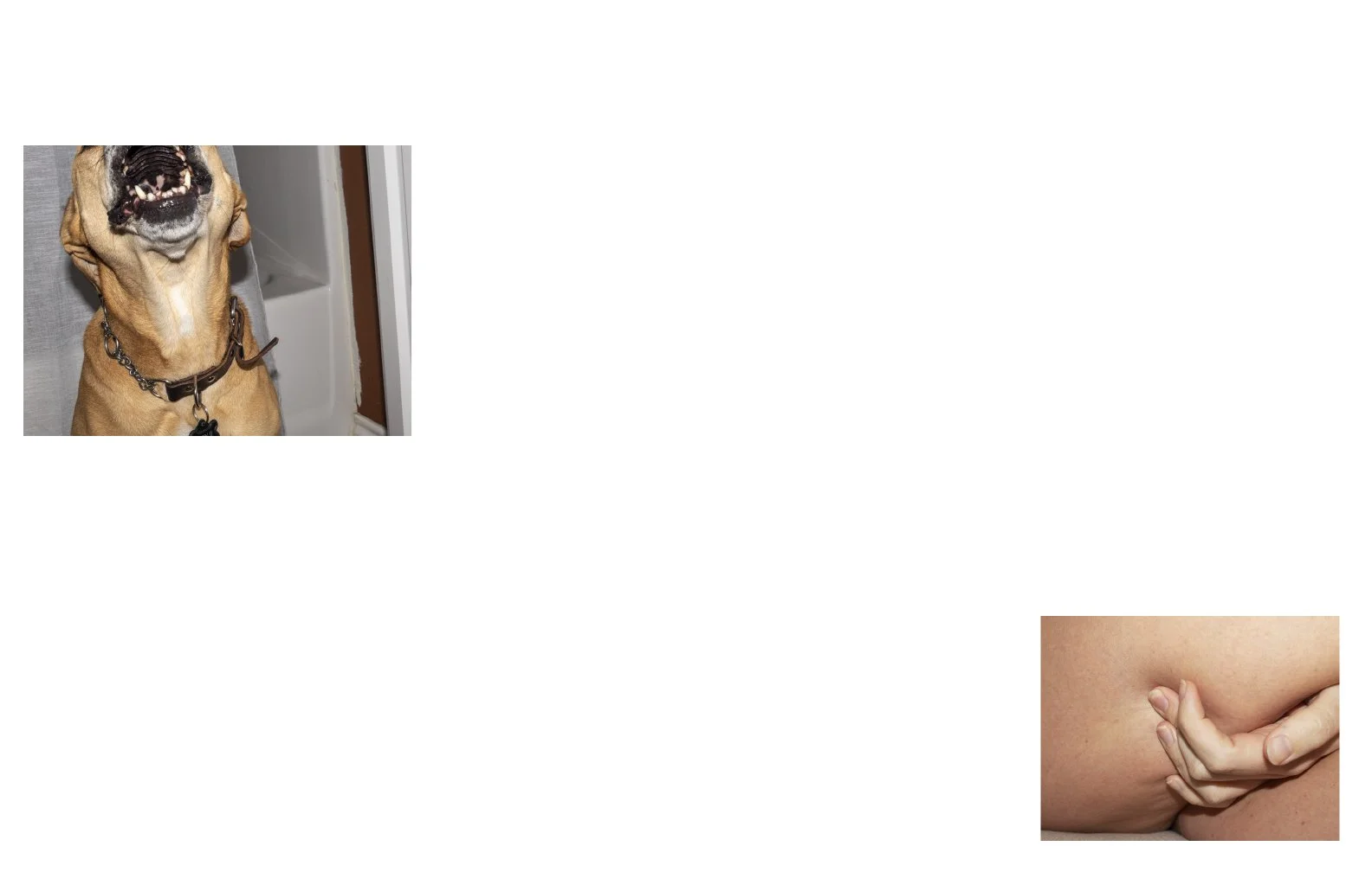 ToAllTheLightWe CannotSee_009.jpg