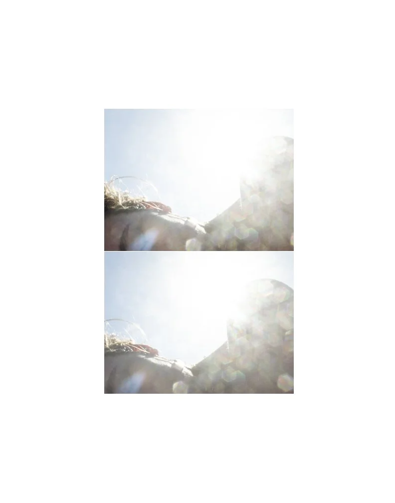 ToAllTheLightWe CannotSee_018.jpg