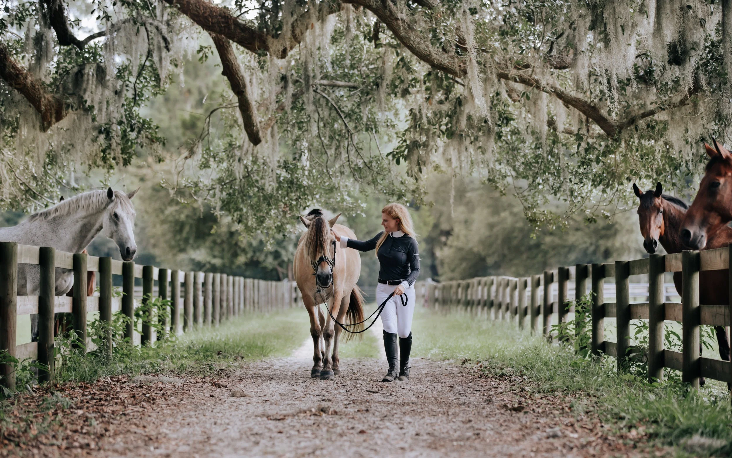 A woman with blonde hair in riding attire standing with a horse on a dirt path beneath large oak trees with Spanish moss.