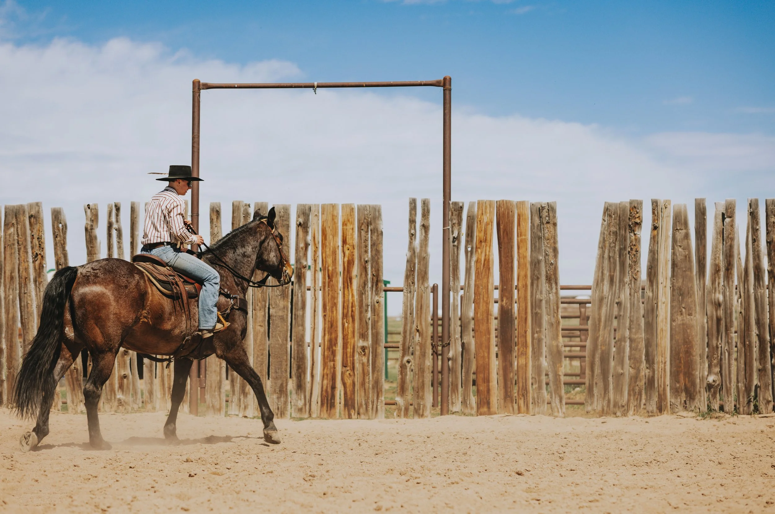 Under Saddle Portraits Western Blue Sky