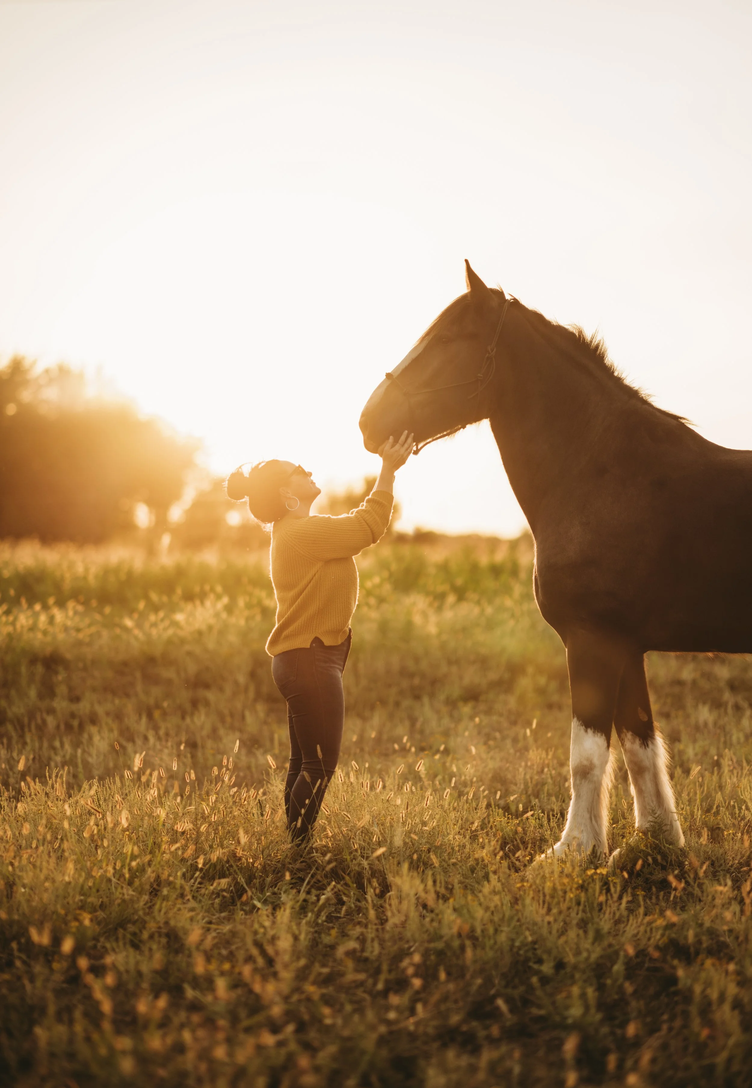 A woman petting a horse in a field during sunset, with warm golden light illuminating the scene.