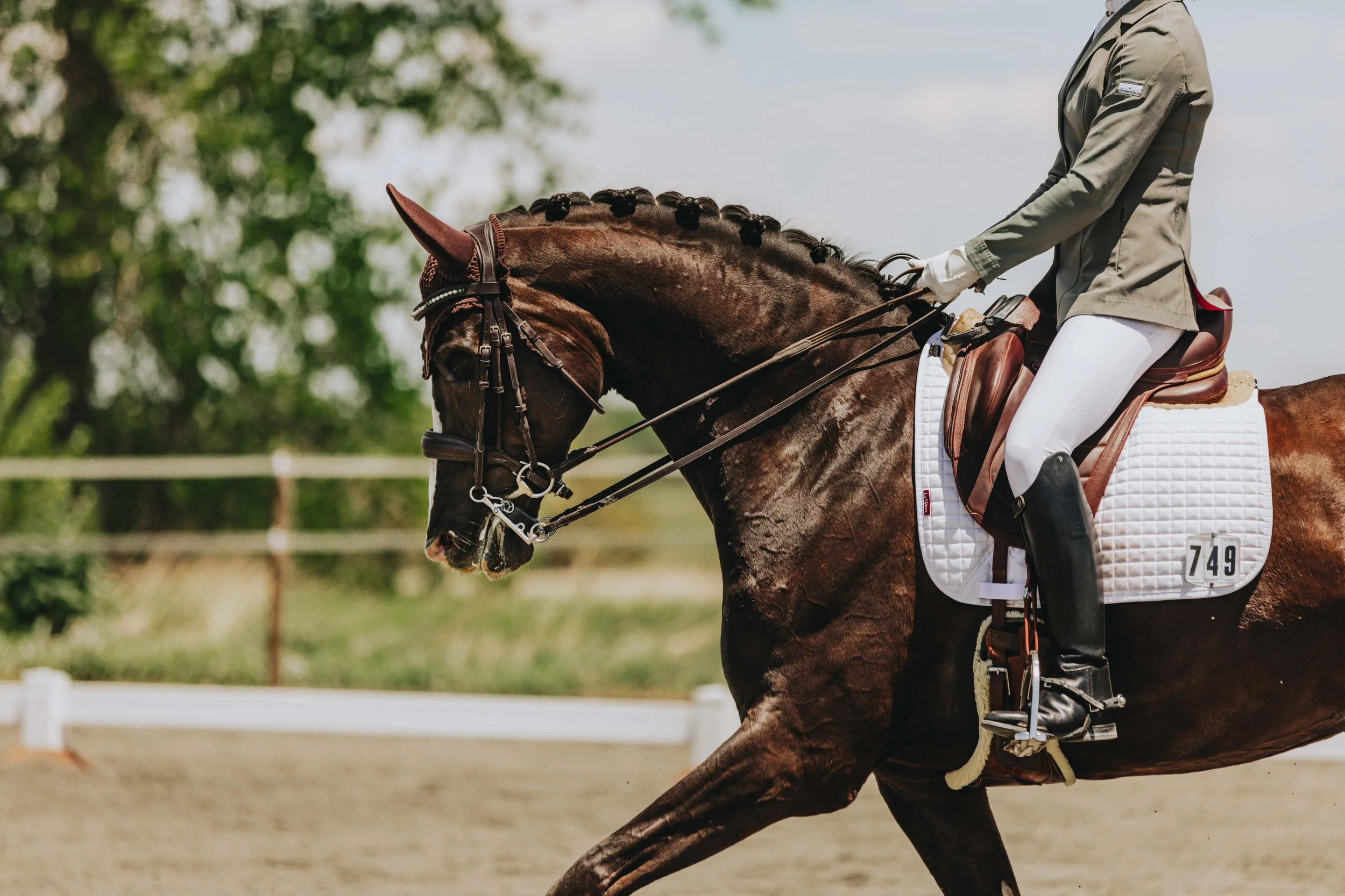 A rider in beige equestrian attire riding a dark brown horse during a dressage event outdoors.