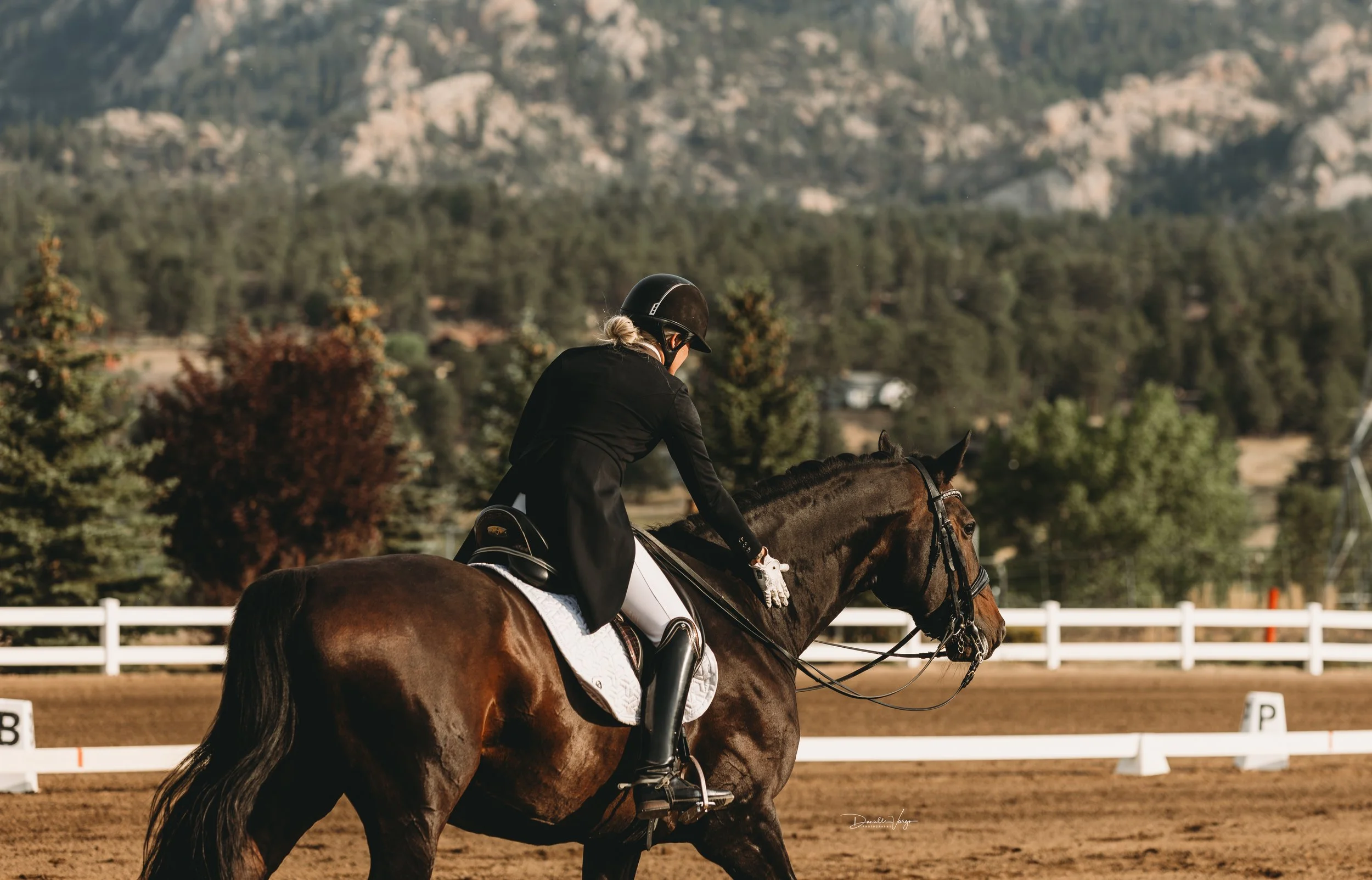 A rider in formal equestrian attire riding a horse in an outdoor arena with a mountain and trees in the background.