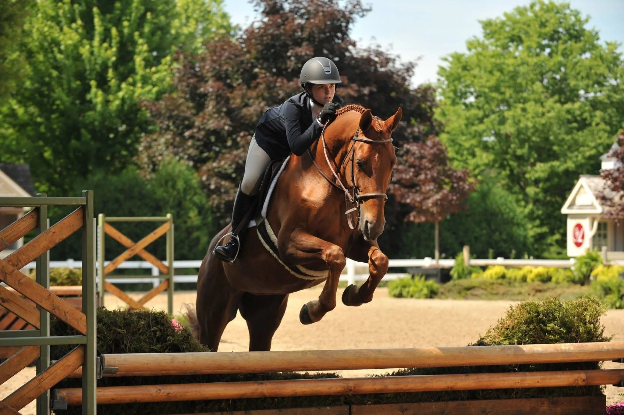 A woman wearing a helmet and riding jacket riding a brown horse over a jump in an outdoor equestrian event surrounded by green trees and a wooden fence.