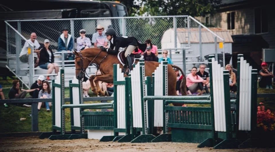 A horse and rider participating in a show jumping competition, jumping over a green and white obstacle, with spectators watching in the background.