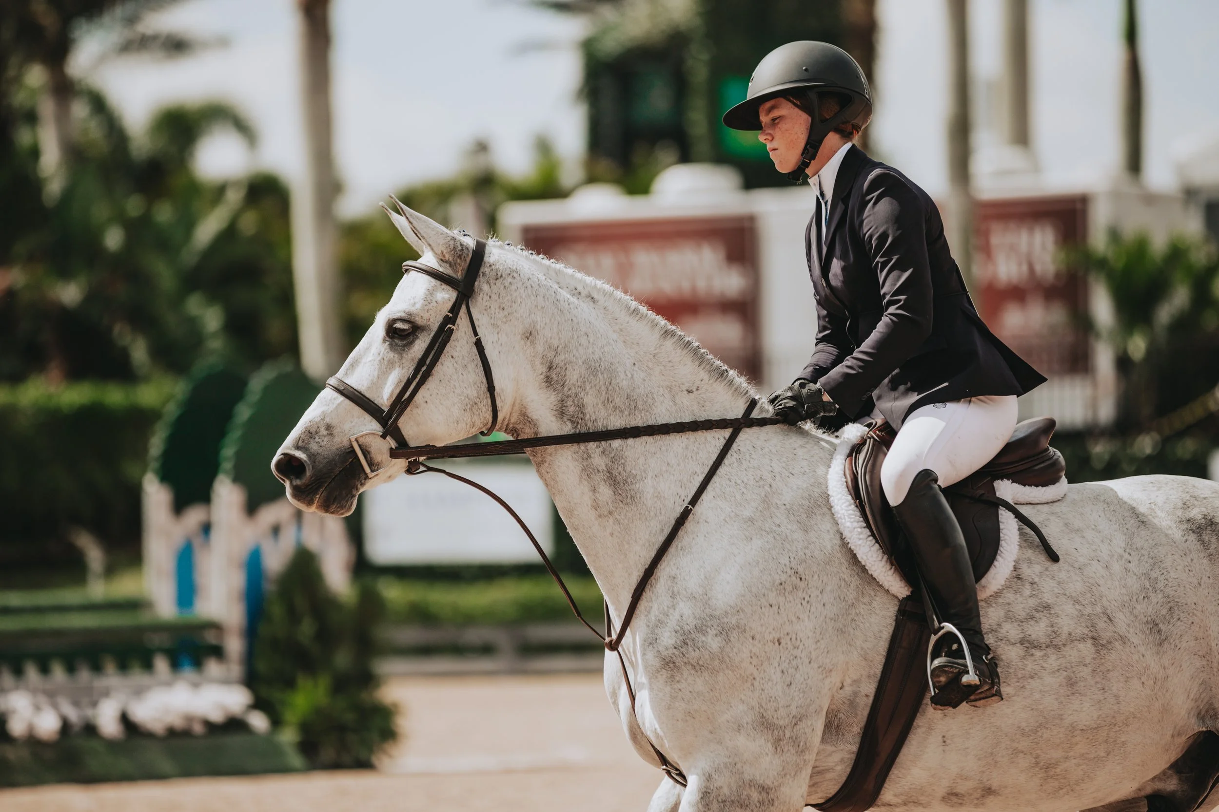 A young woman riding a white horse in an equestrian arena, wearing a black riding jacket, white riding pants, black gloves, and a black riding helmet.