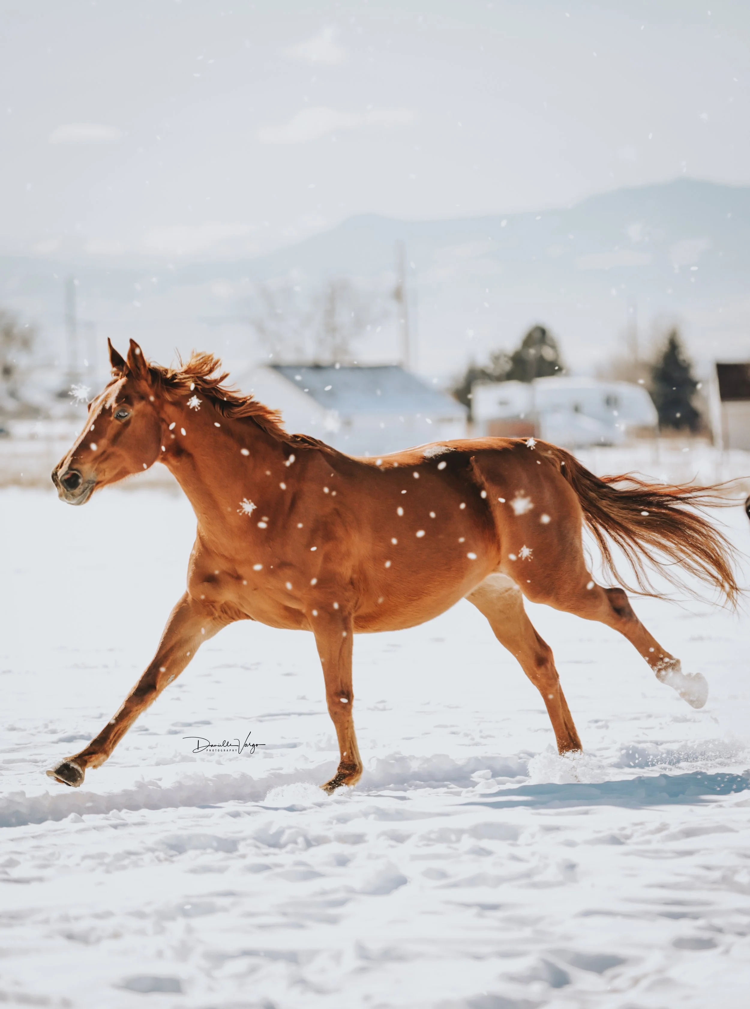 A chestnut horse running through a snowy landscape with falling snowflakes, a village in the background, and mountains in the distance.