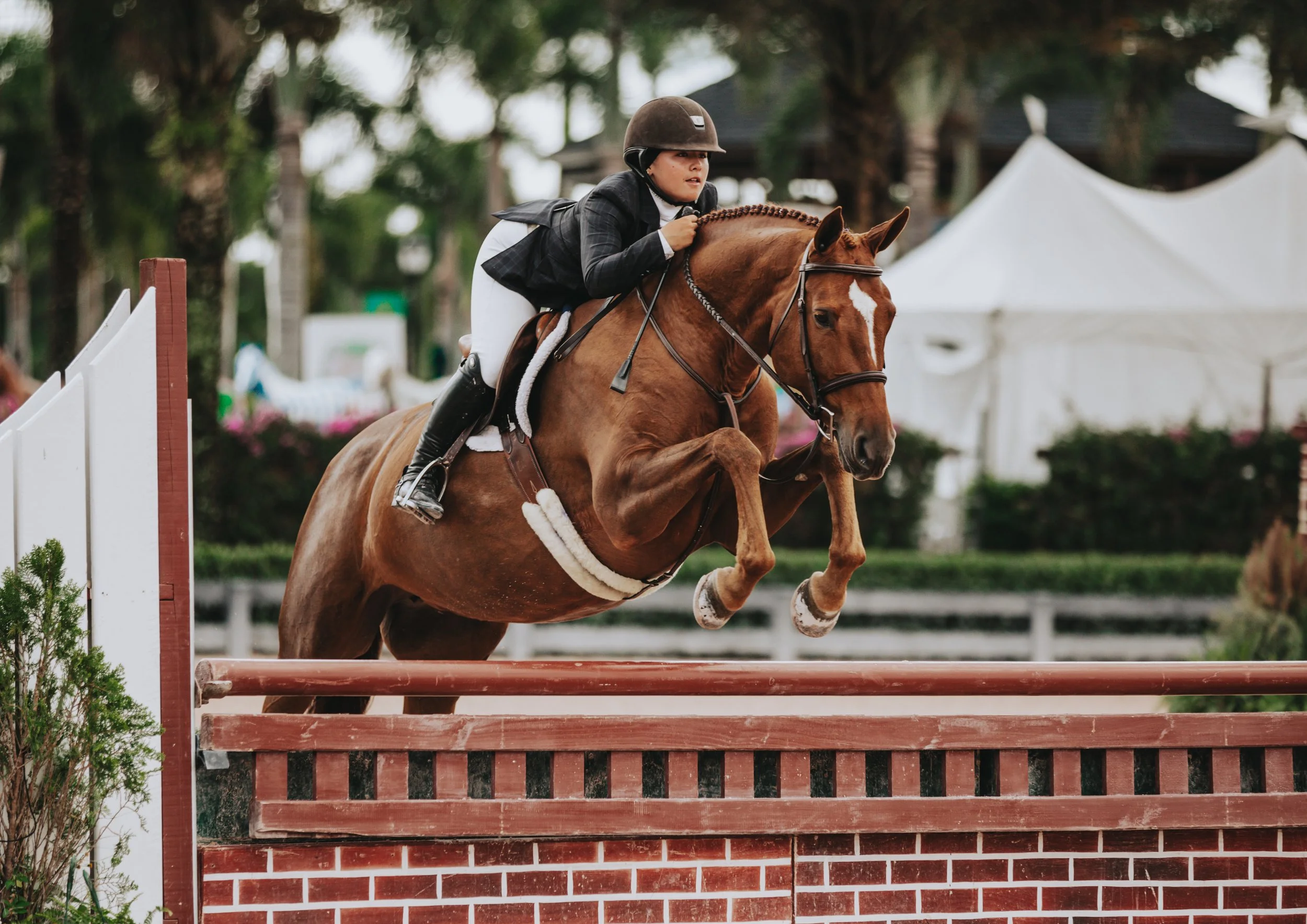 A female equestrian in formal riding attire, including a helmet and jacket, riding a galloping brown horse over a jump in an outdoor competition.