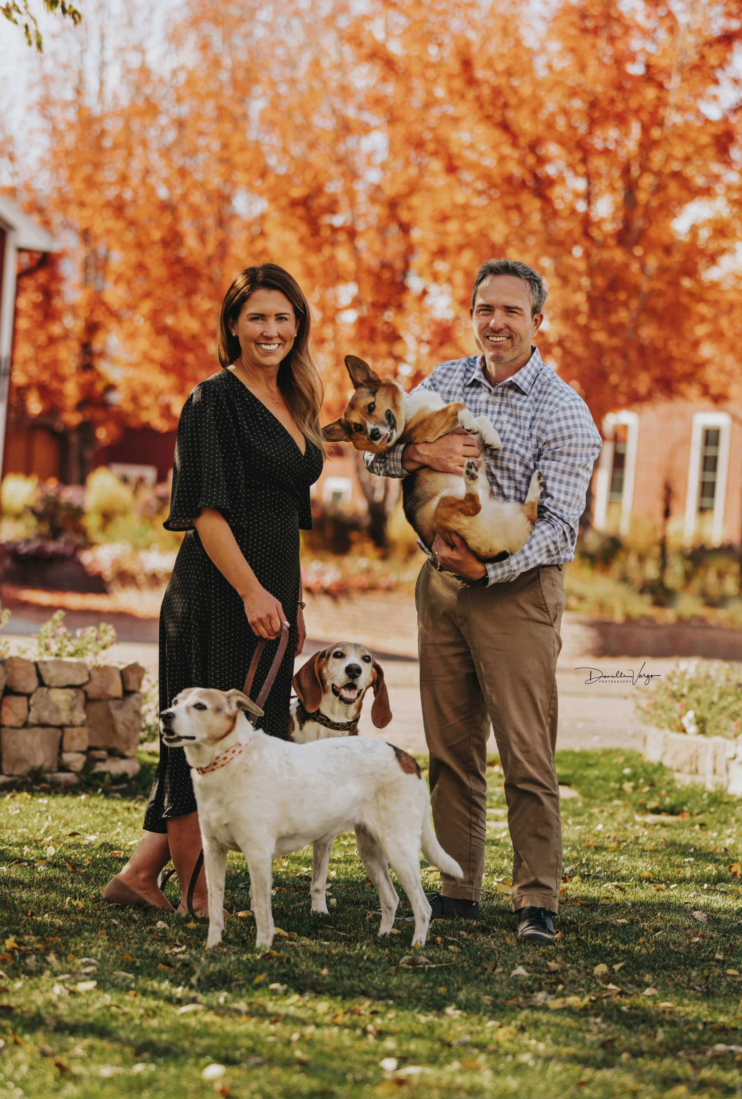A man and woman are outside in front of an orange tree with fall foliage, smiling with dogs, two sitting and one being held. The woman wears a black dress with white polka dots, and the man wears a blue and white checkered shirt with tan pants.