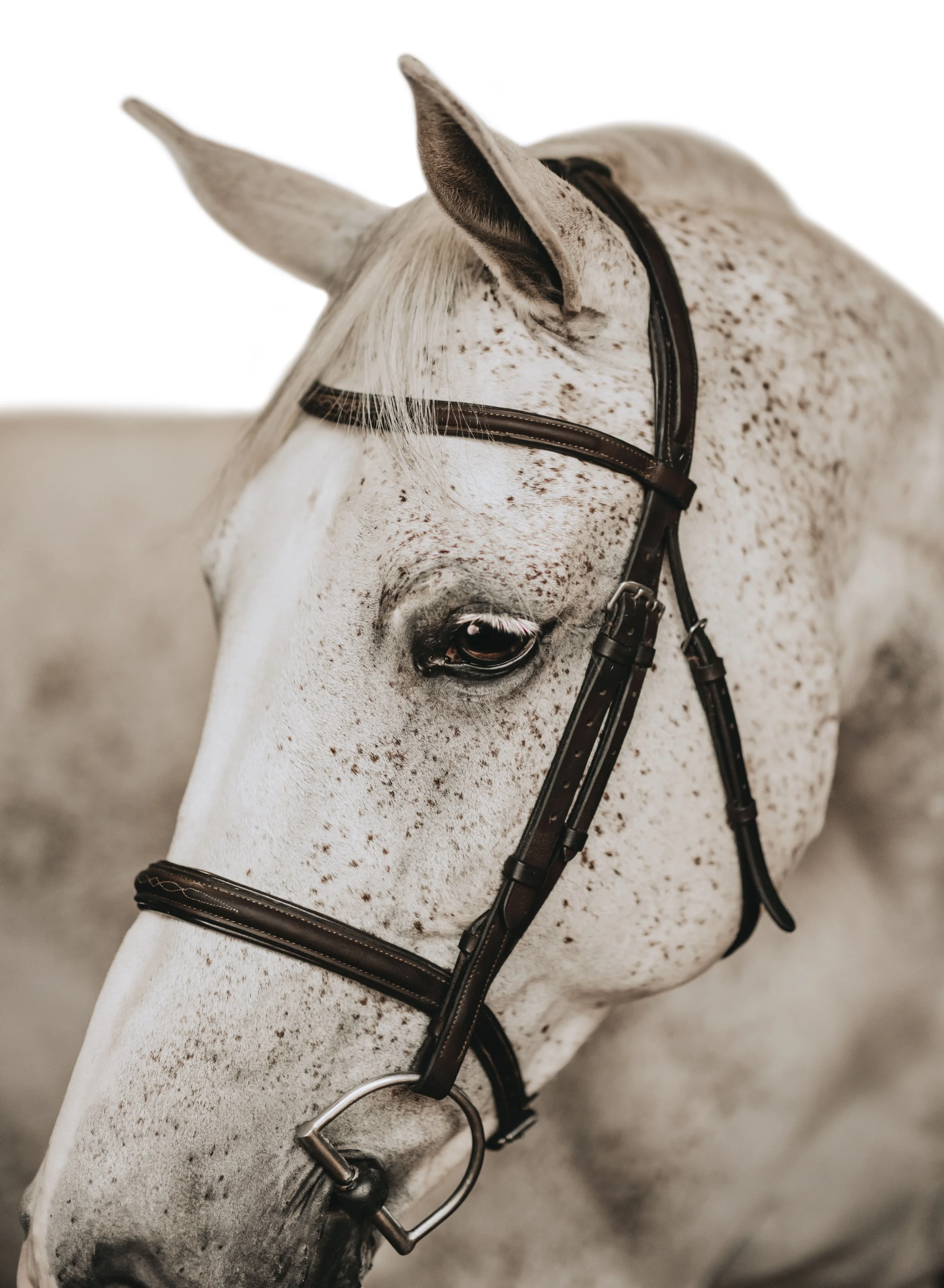 848A6657-Edit.jpg