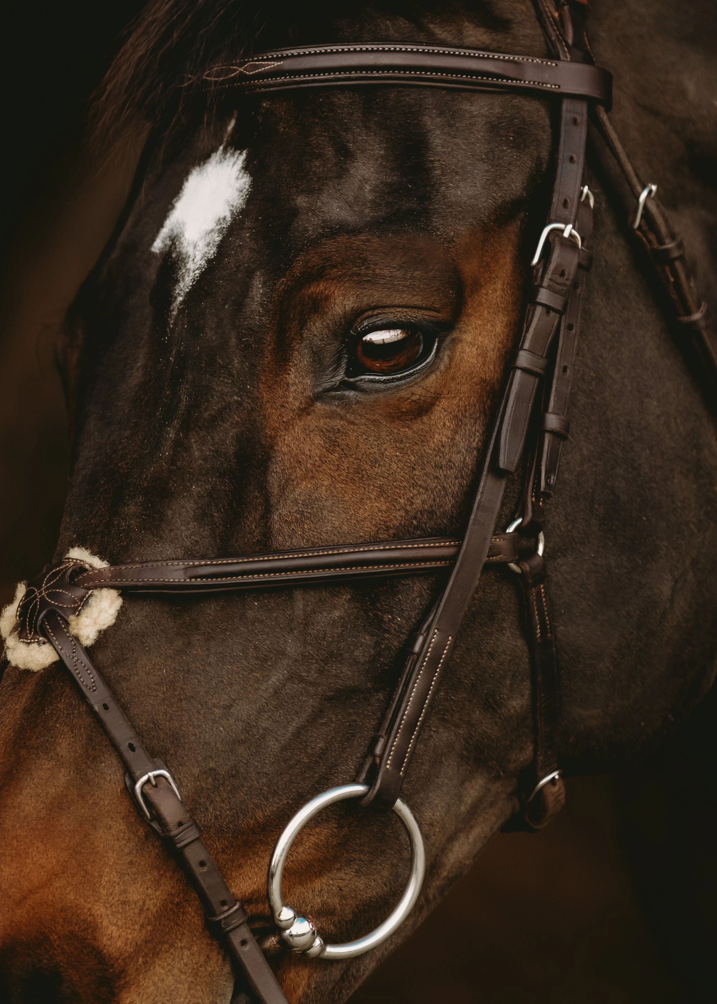 Close-up of a horse's face with a dark brown coat, one eye, and white markings on its forehead, wearing a bridle and bit.