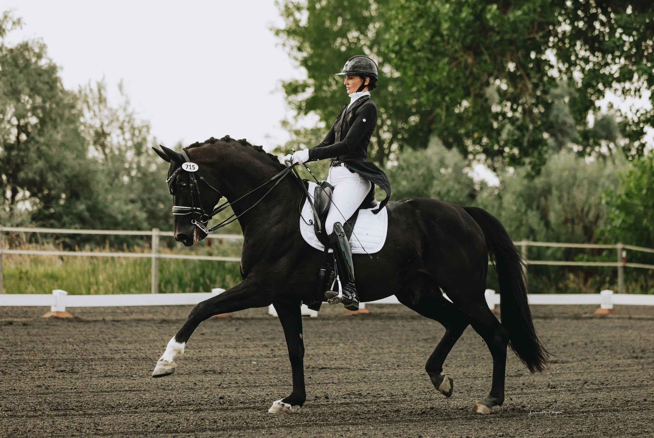 848A2798-1 copy.jpg