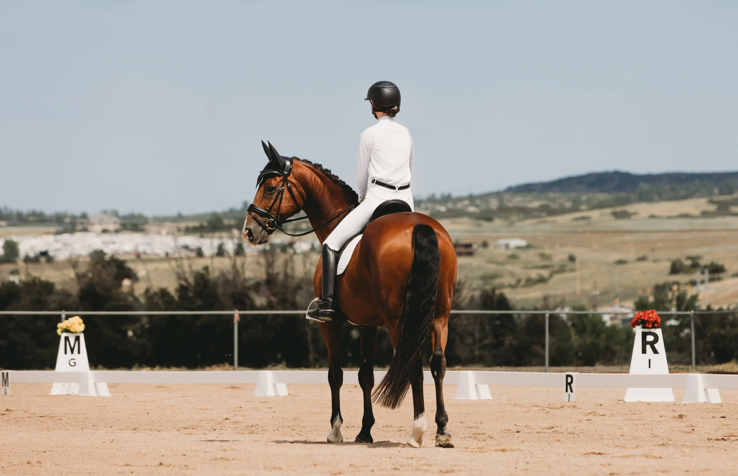 A rider wearing white riding attire and a black helmet seated on a brown horse during a dressage competition, with markers labeled M, G, R, and I in the arena, and a scenic landscape in the background.