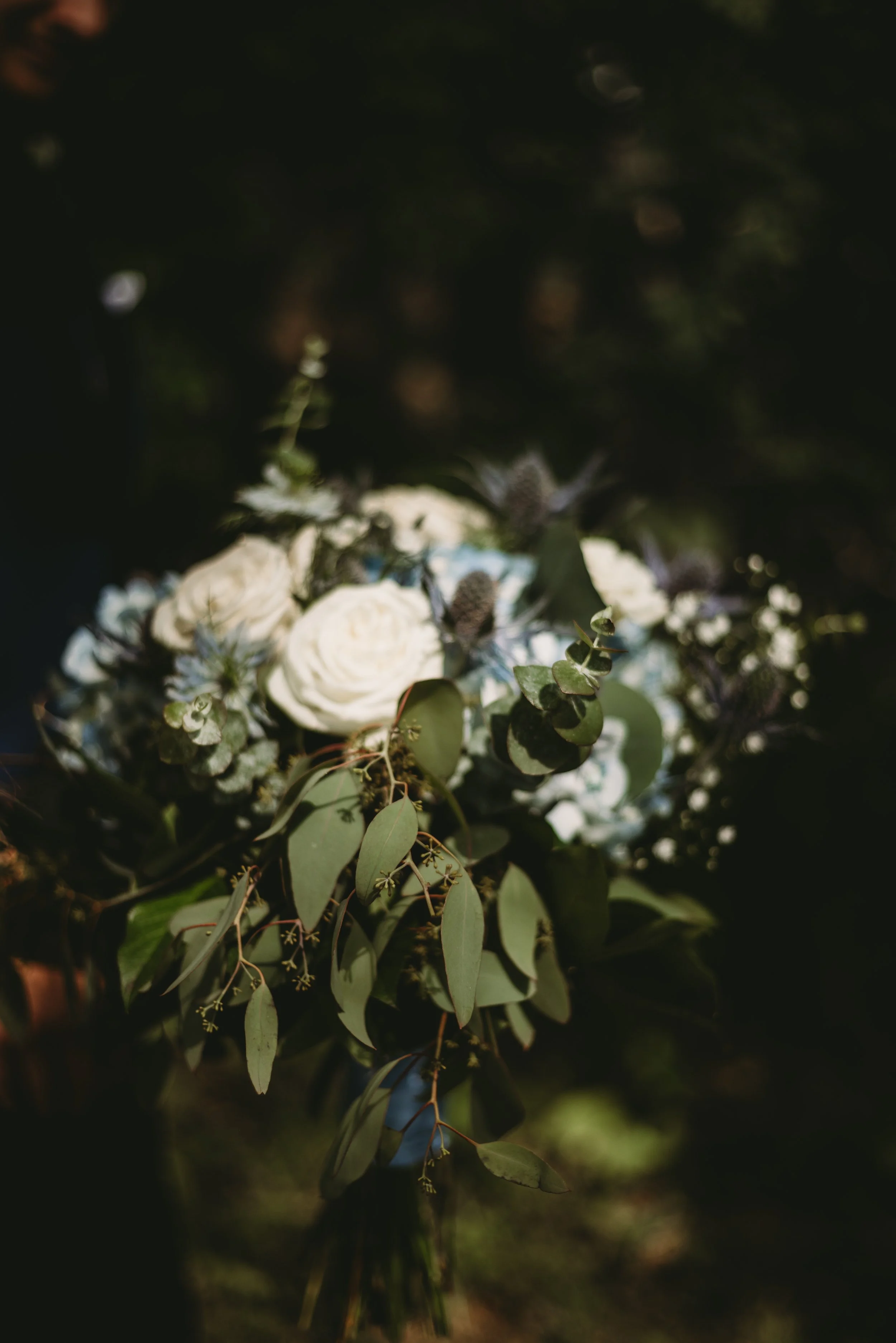 Close-up of a bouquet of white roses and green foliage against a dark, blurred background.