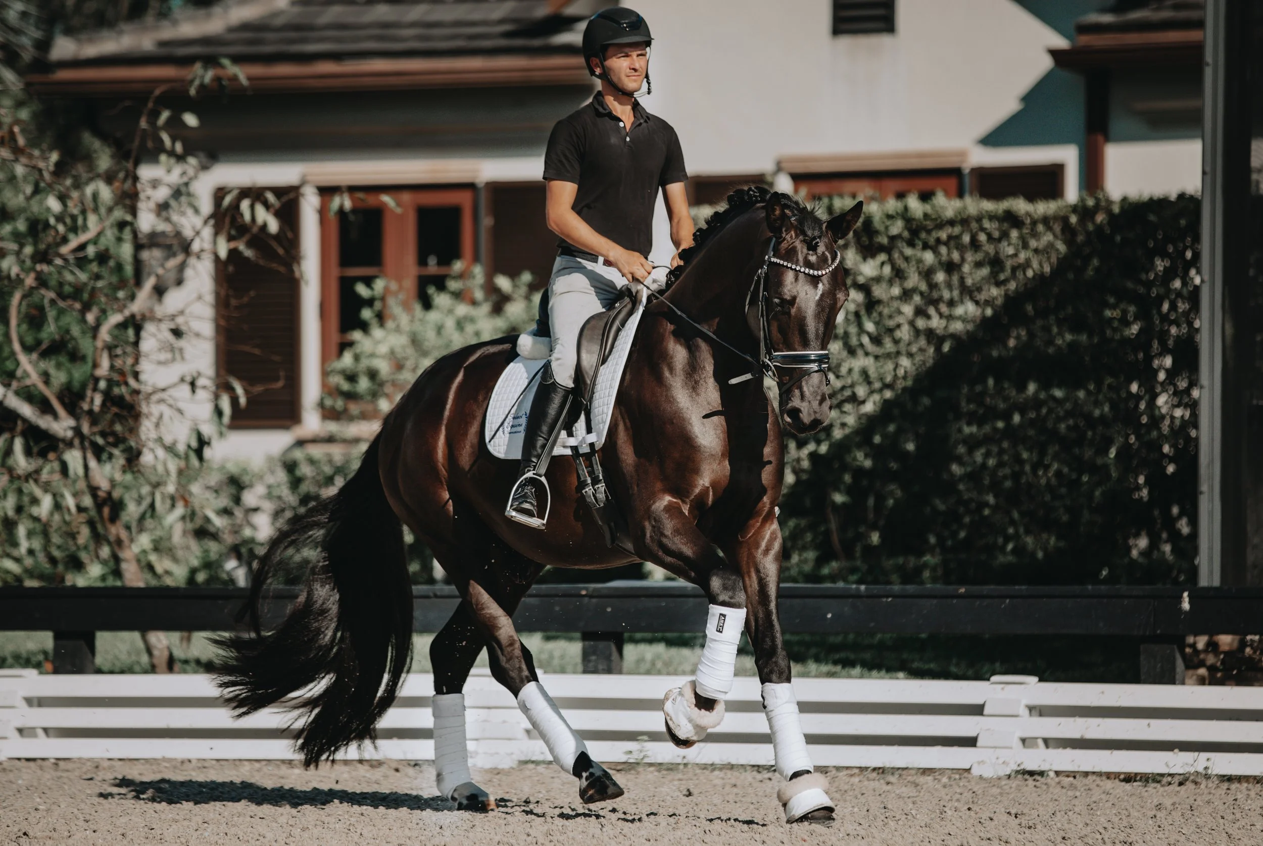 Under Saddle Portraits Florida