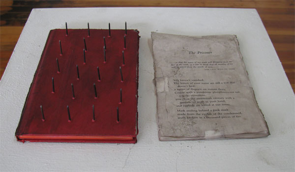 Prisoner (From Diary of Consequence series), 2009