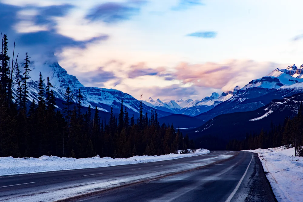 Website Imagery-7.jpg