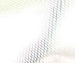 22 Why Authentic Connection With Others Starts With You - D 250 x 211.jpg