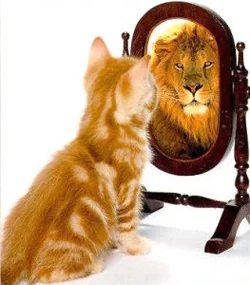 40 Self-Esteem and Social Media_Human Drives in an Electronic World - C 250 x 285.jpg