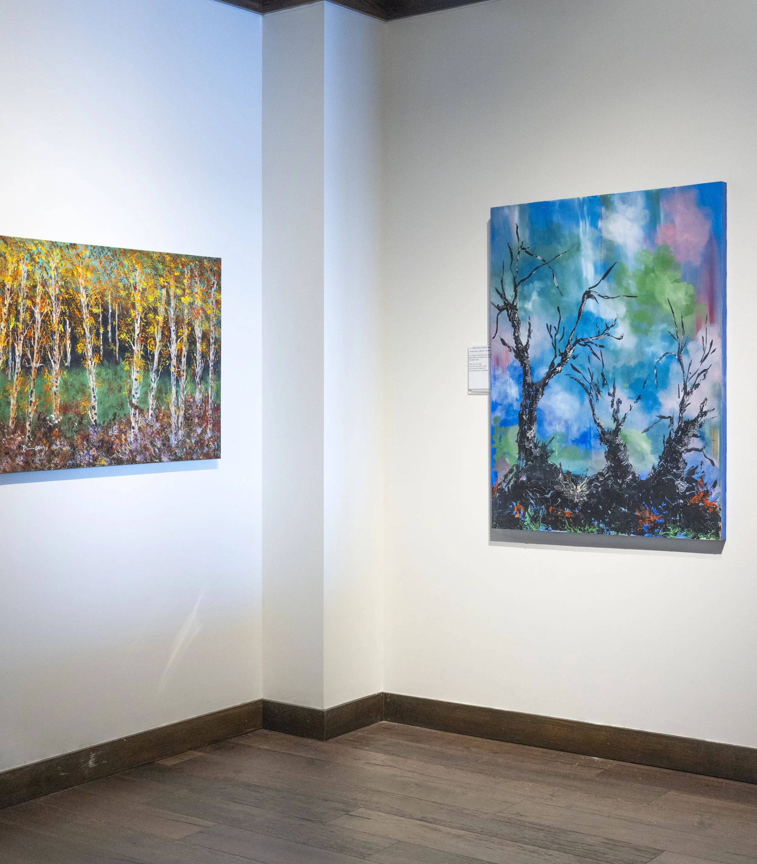 Exhibit-260501-3.jpg