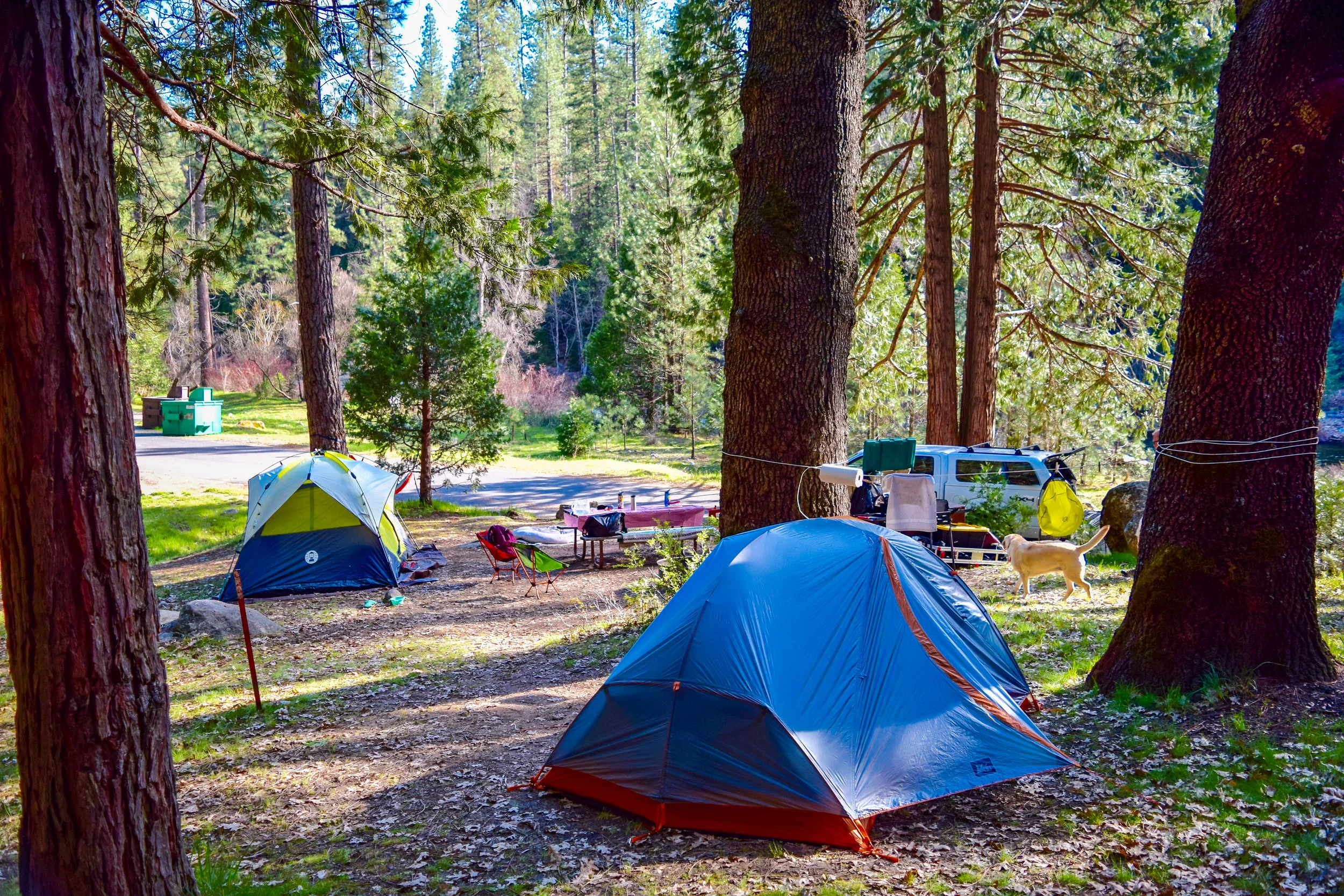 Car Camp in Yosemite National Park 