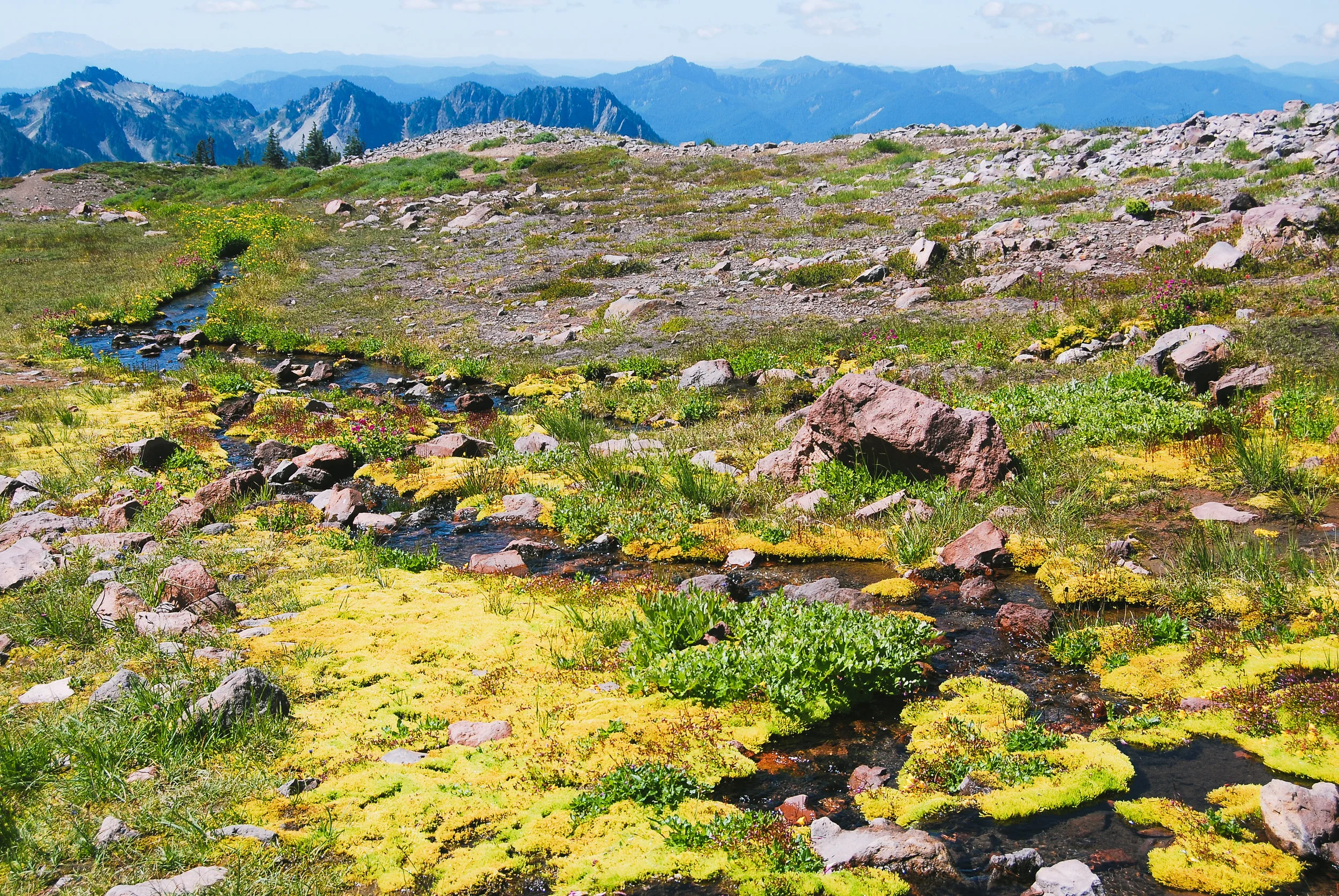 Check out Mt. Saint Helens in the upper left corner!