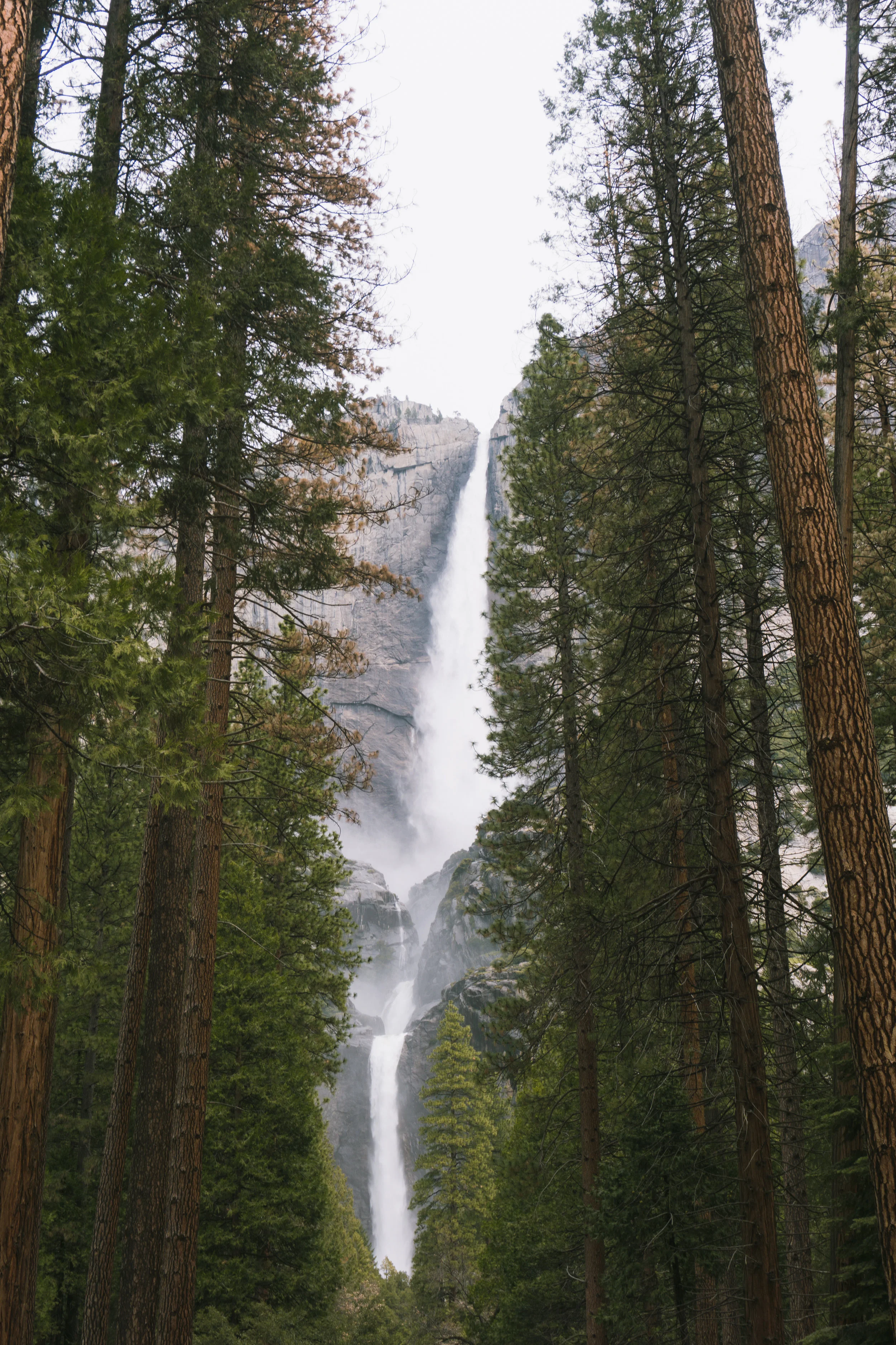 Lower Yosemite Falls trail
