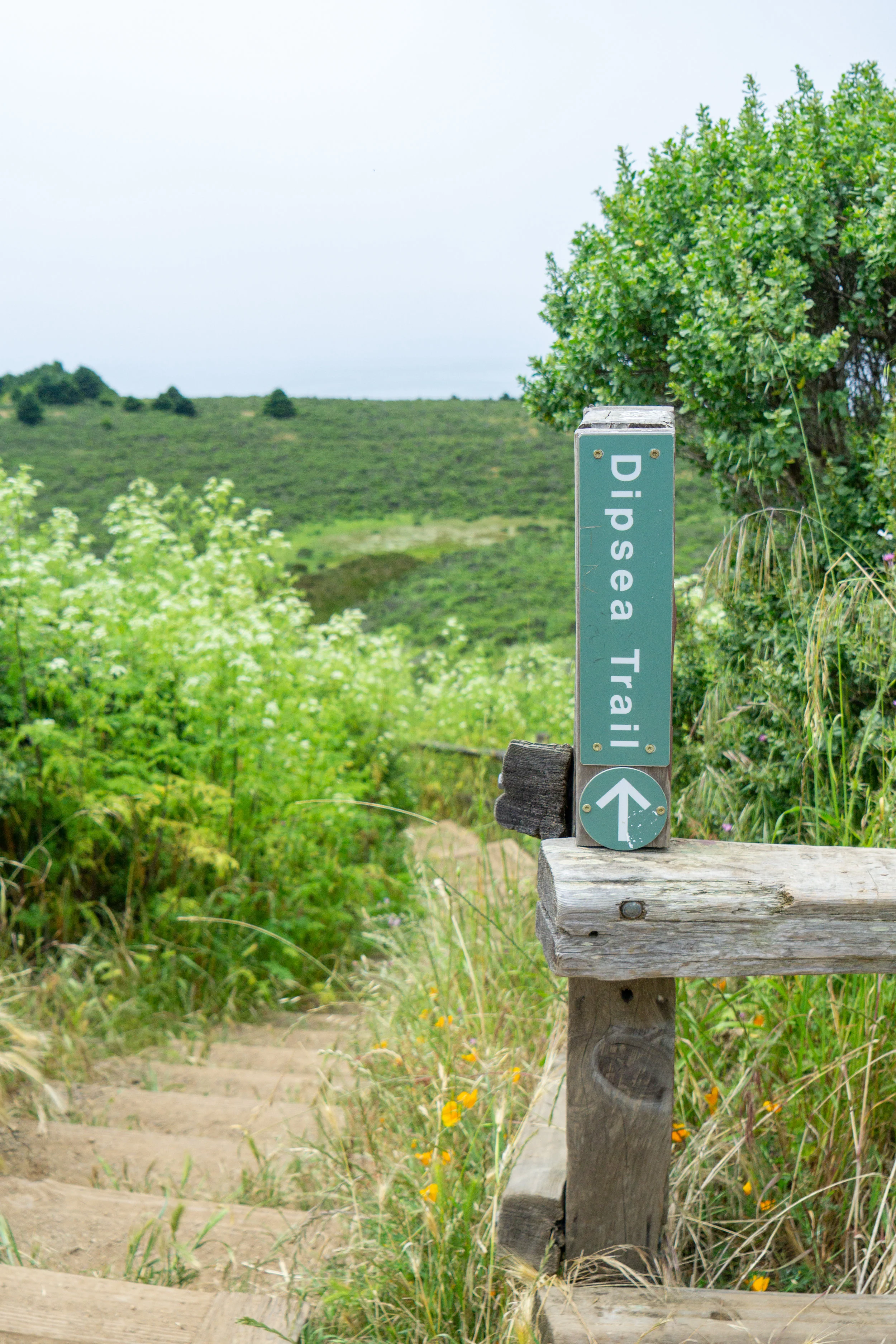 steepravine-3.jpg