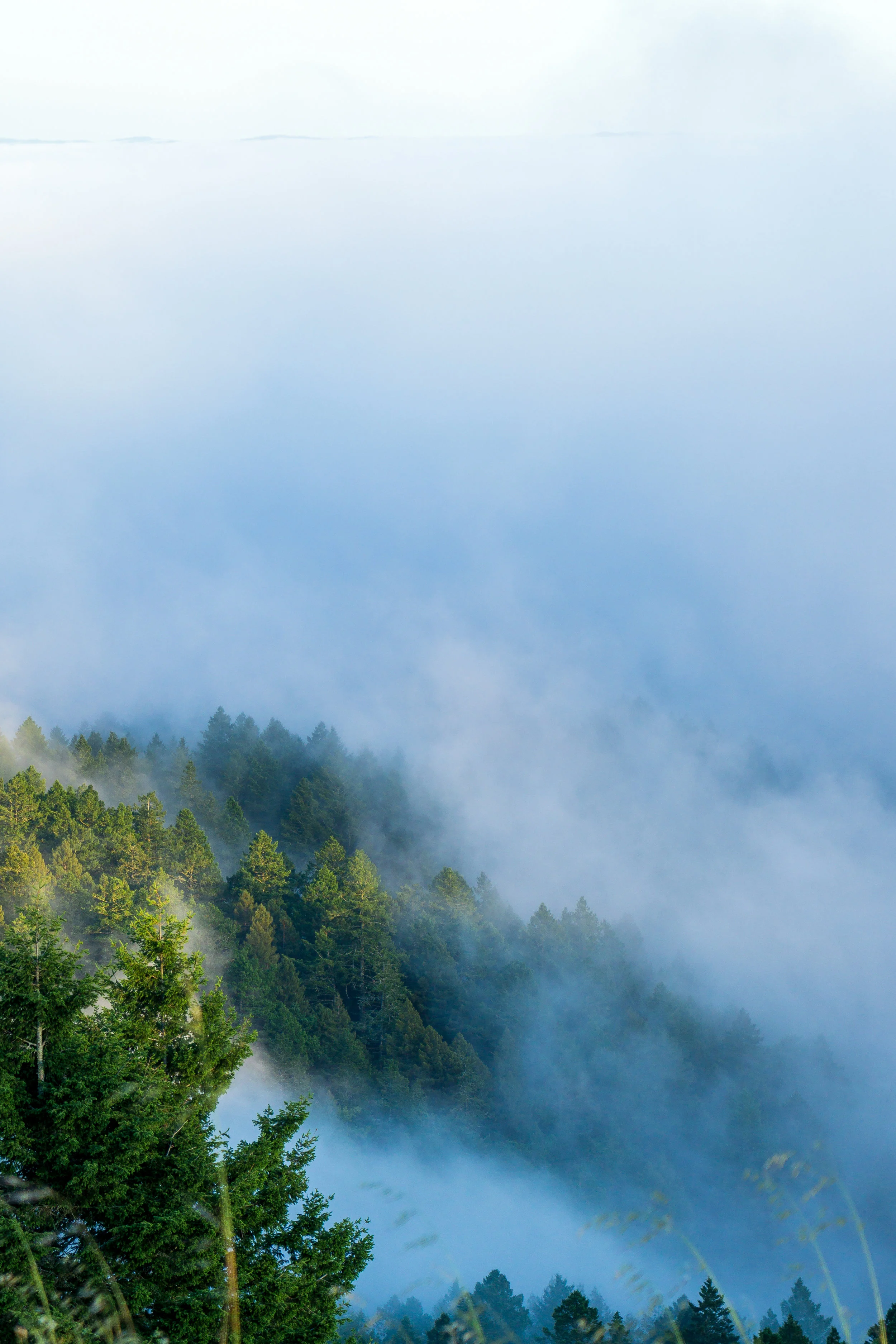 steepravine-12.jpg