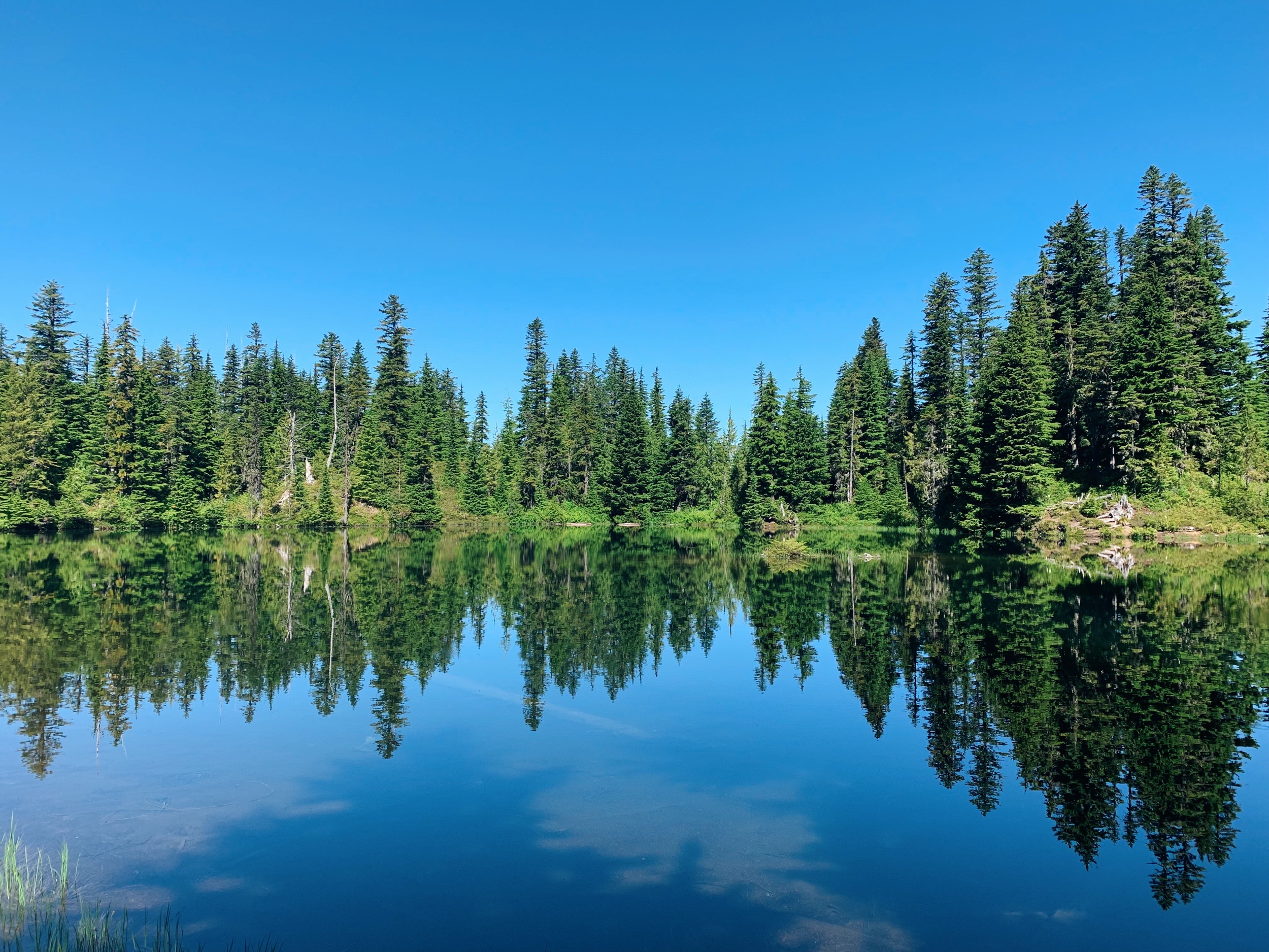 B429041C-ED38-4244-9E9A-7F7B7A546C13.jpeg