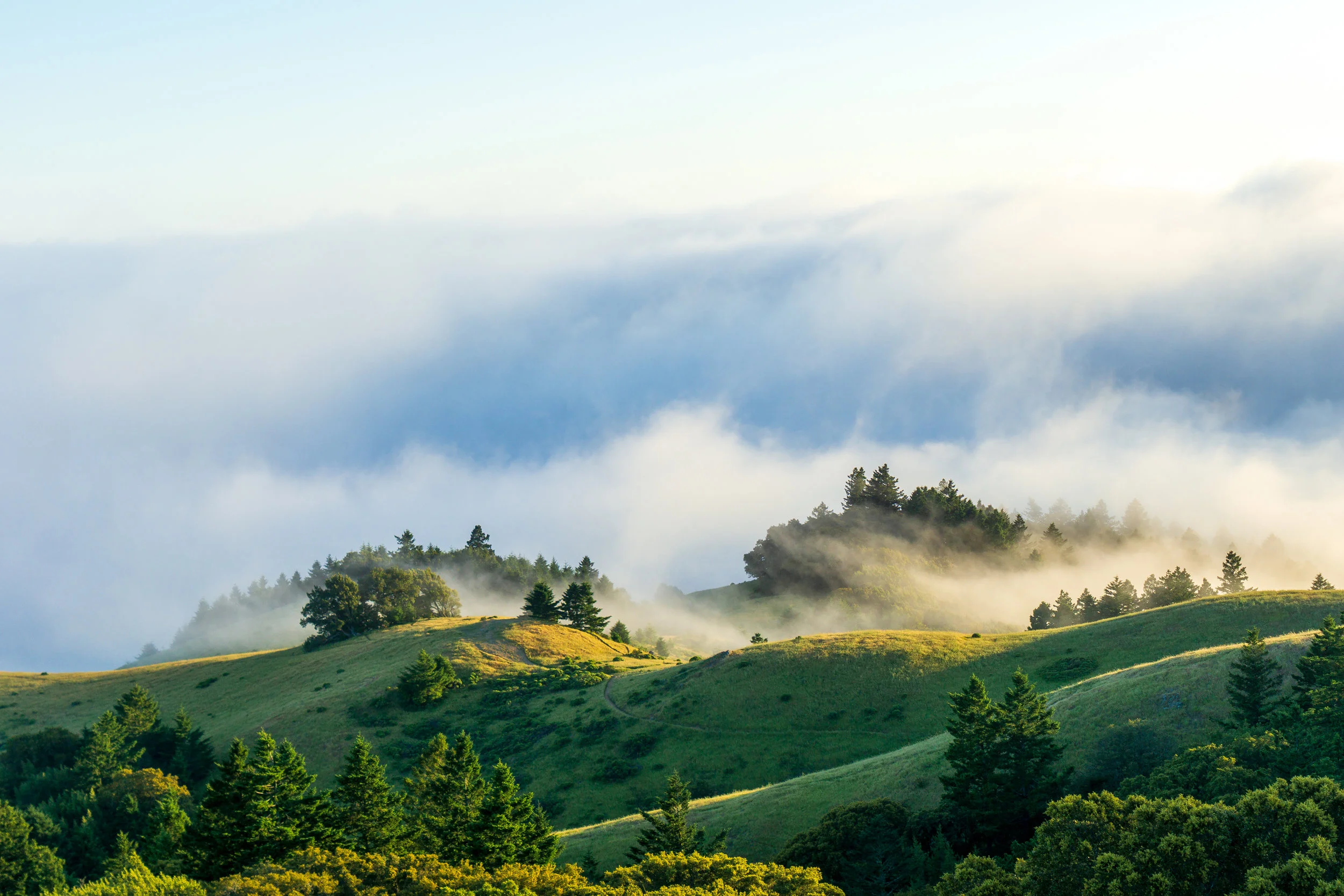 steepravine-9.jpg
