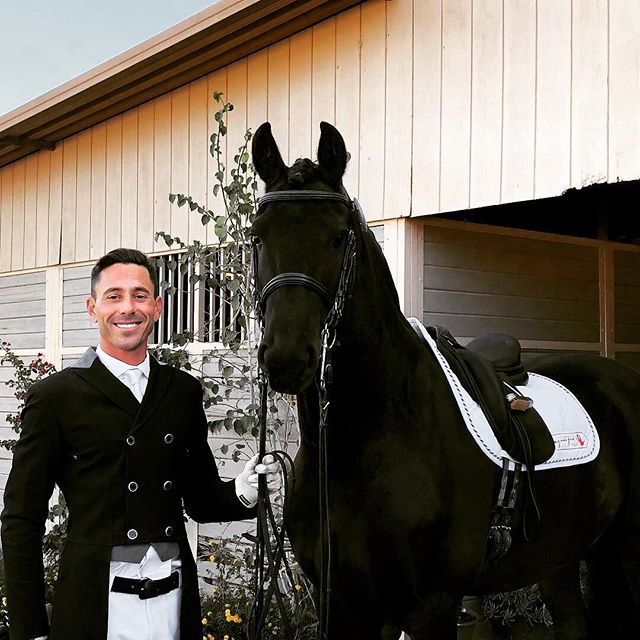 Couldn&rsquo;t be happier with Diemer and his p.s.g debut! #dressage #horsesofinstagram