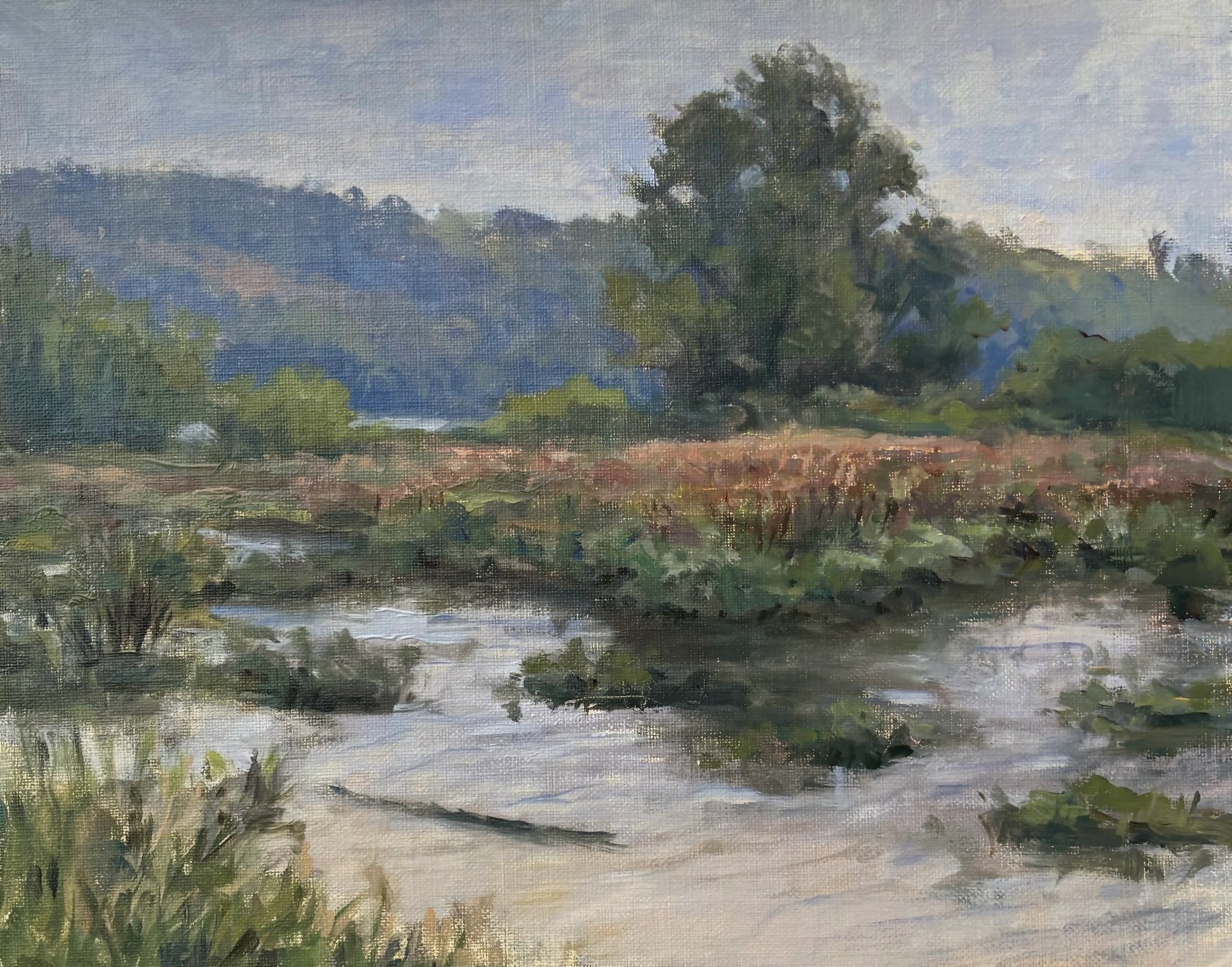 Marsh of the Mississippi