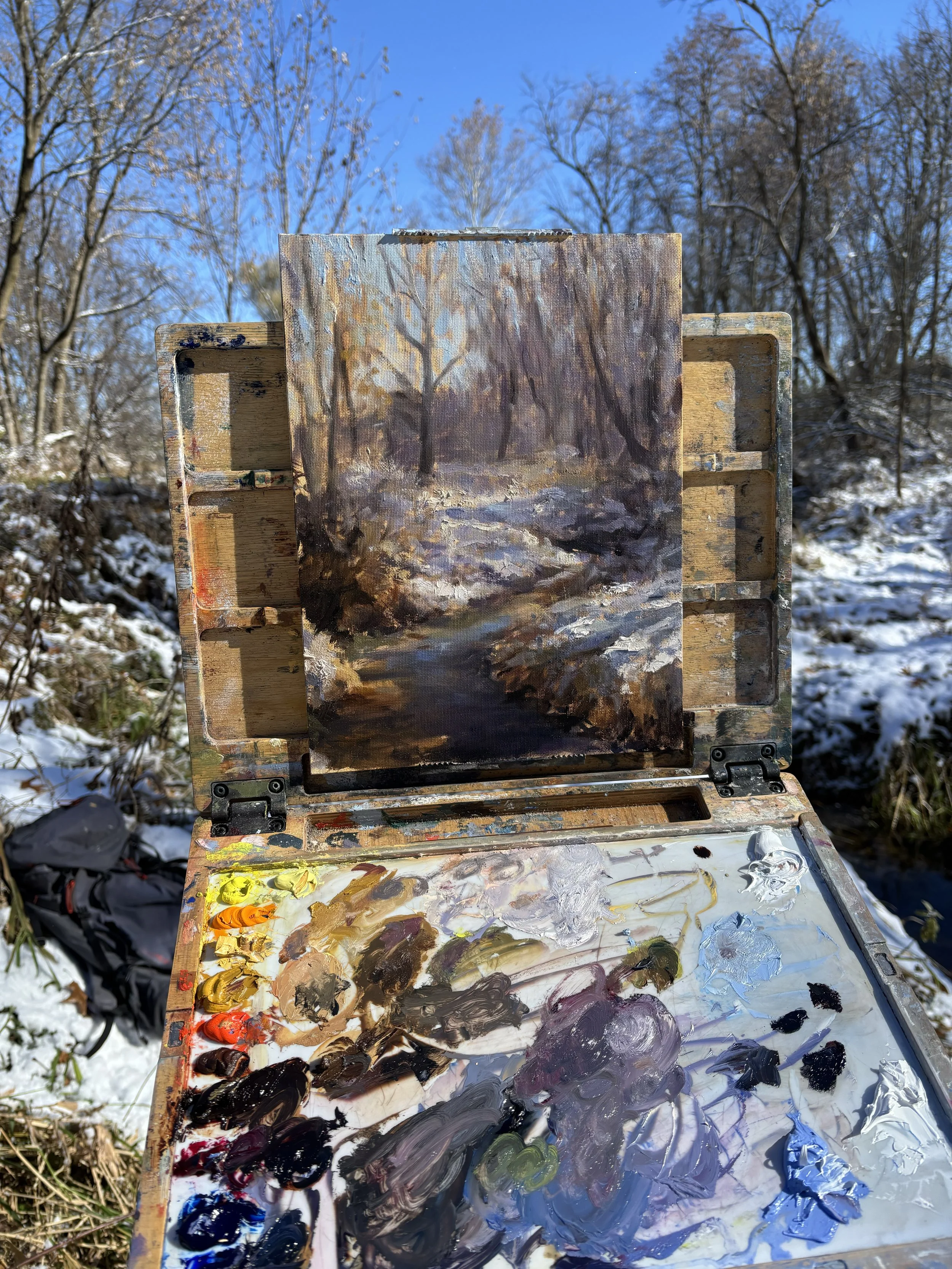 First Snowfall in the Field.jpg