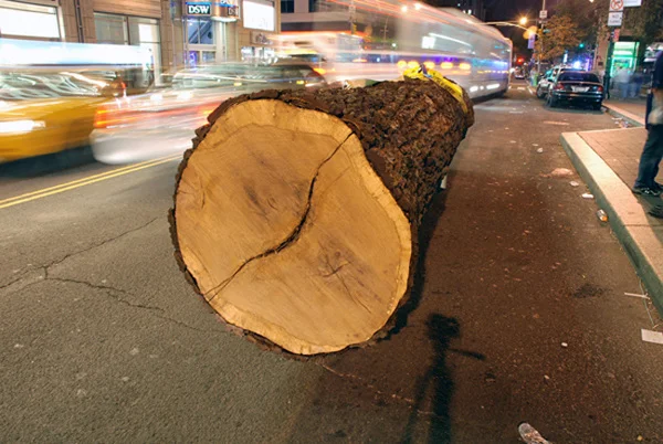 LOG
