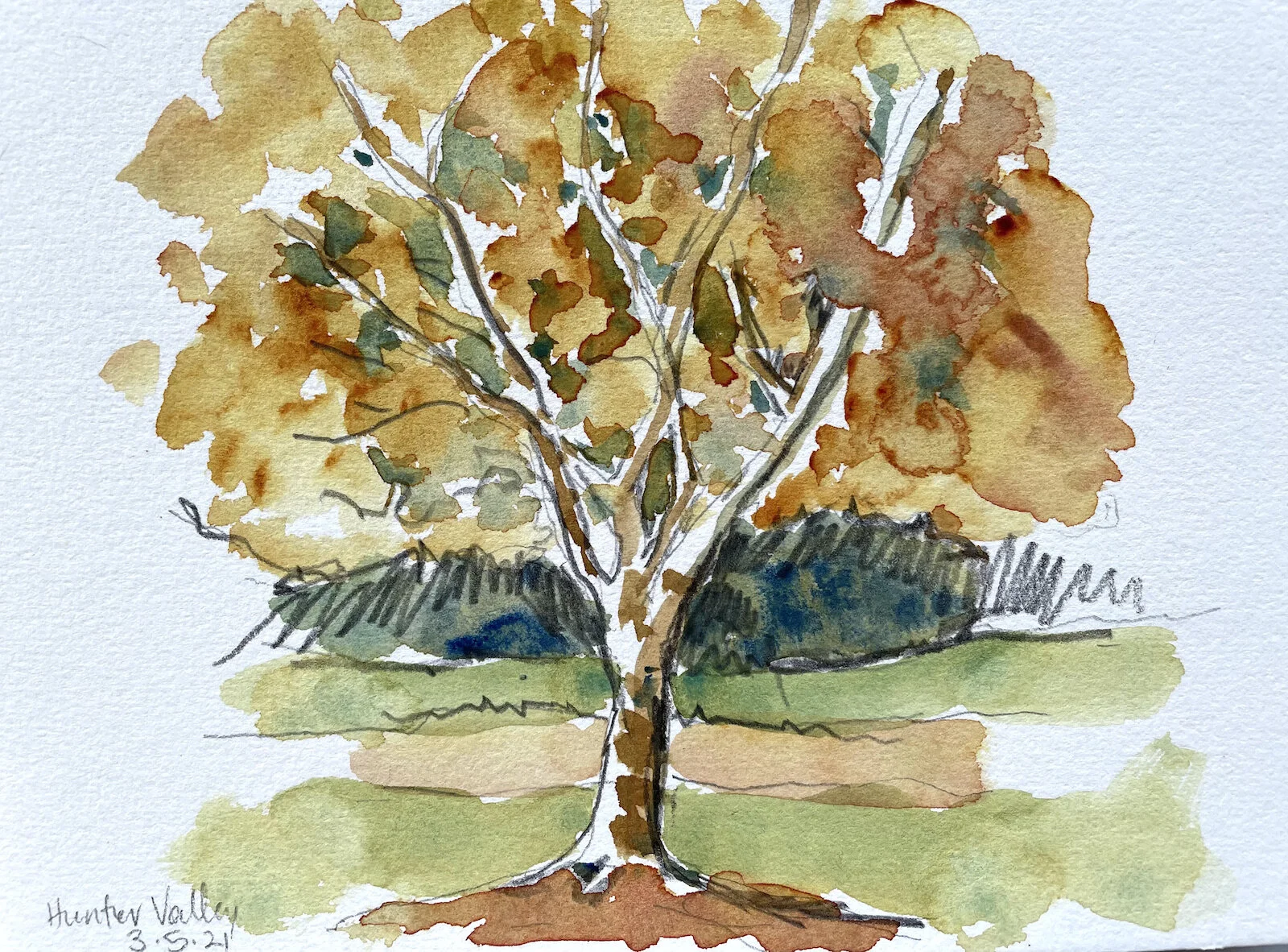   The Carriages, Hunter Valley II  2021, 15x21cm, watercolour and graphite on watercolour paper 