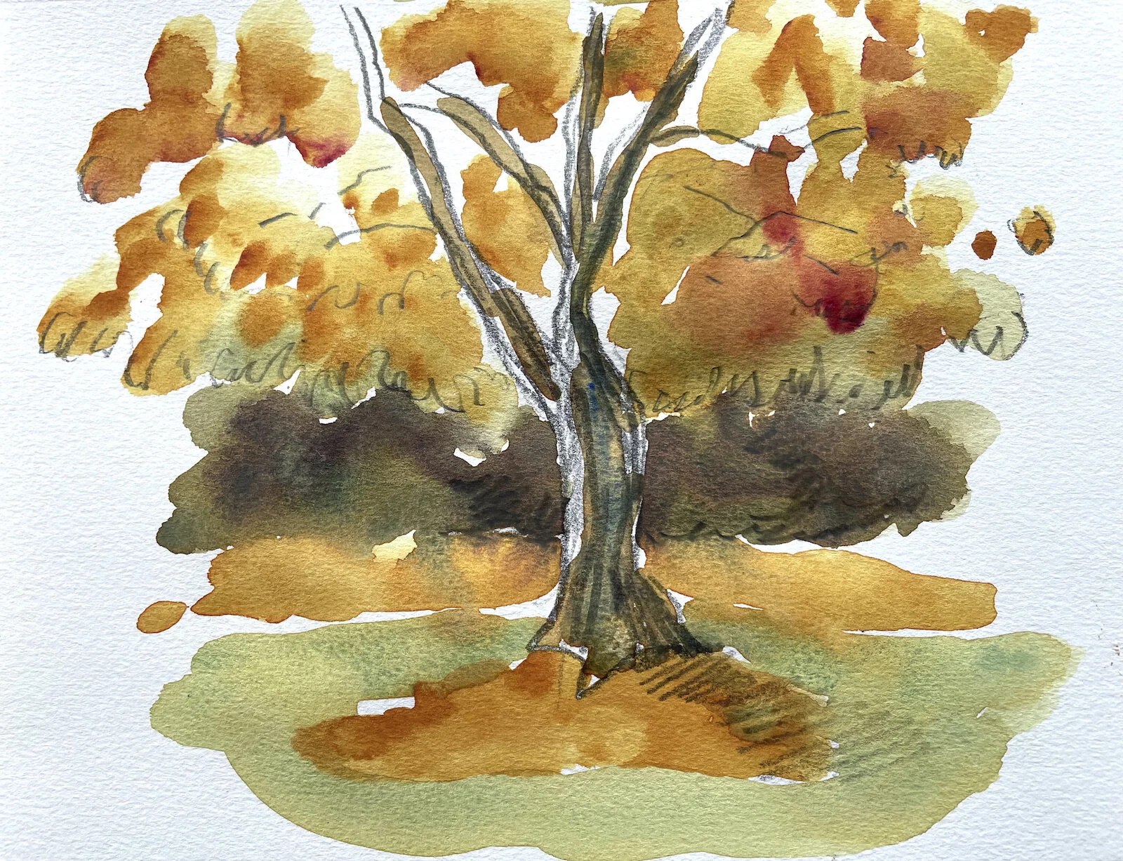   The Carriages, Hunter Valley III  2021, 15x21cm, watercolour and graphite on watercolour paper 