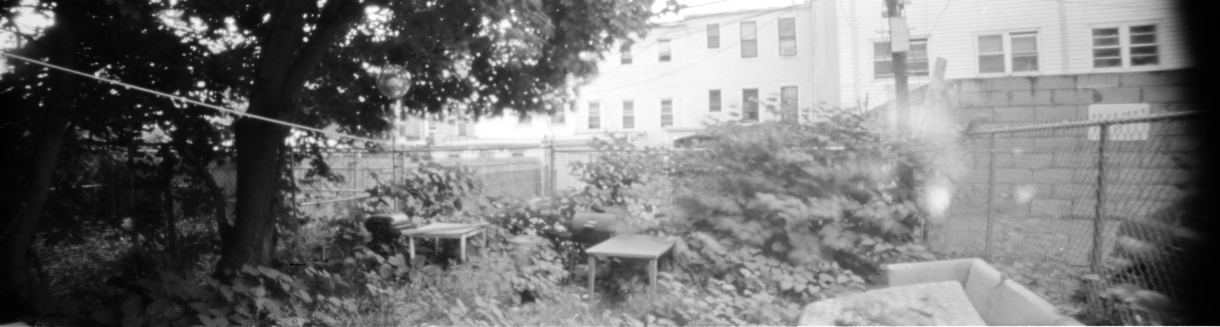 Greene