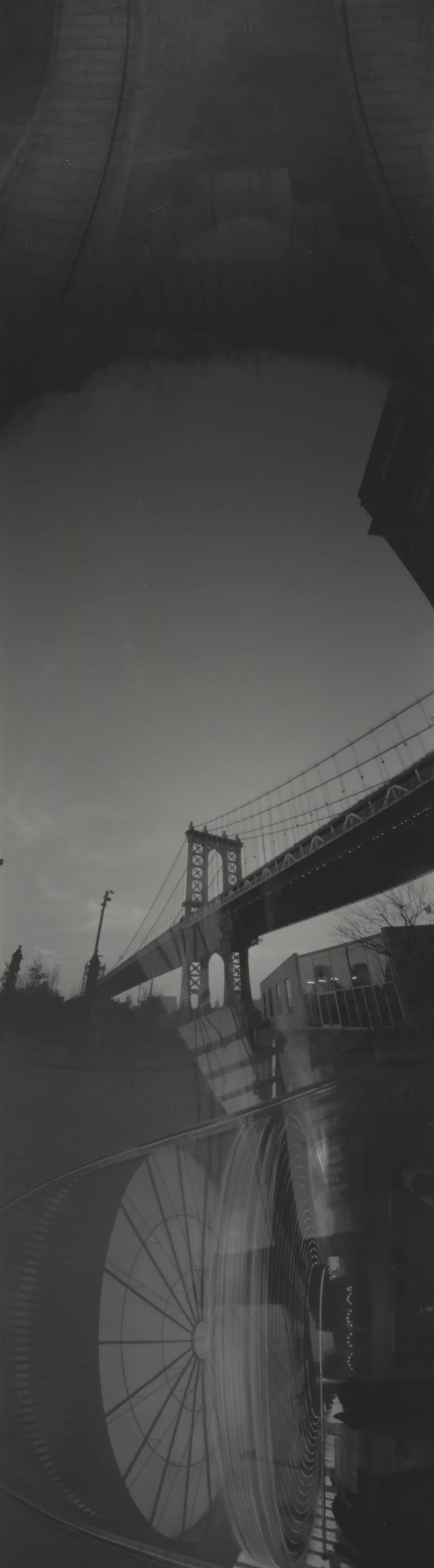 Dumbo