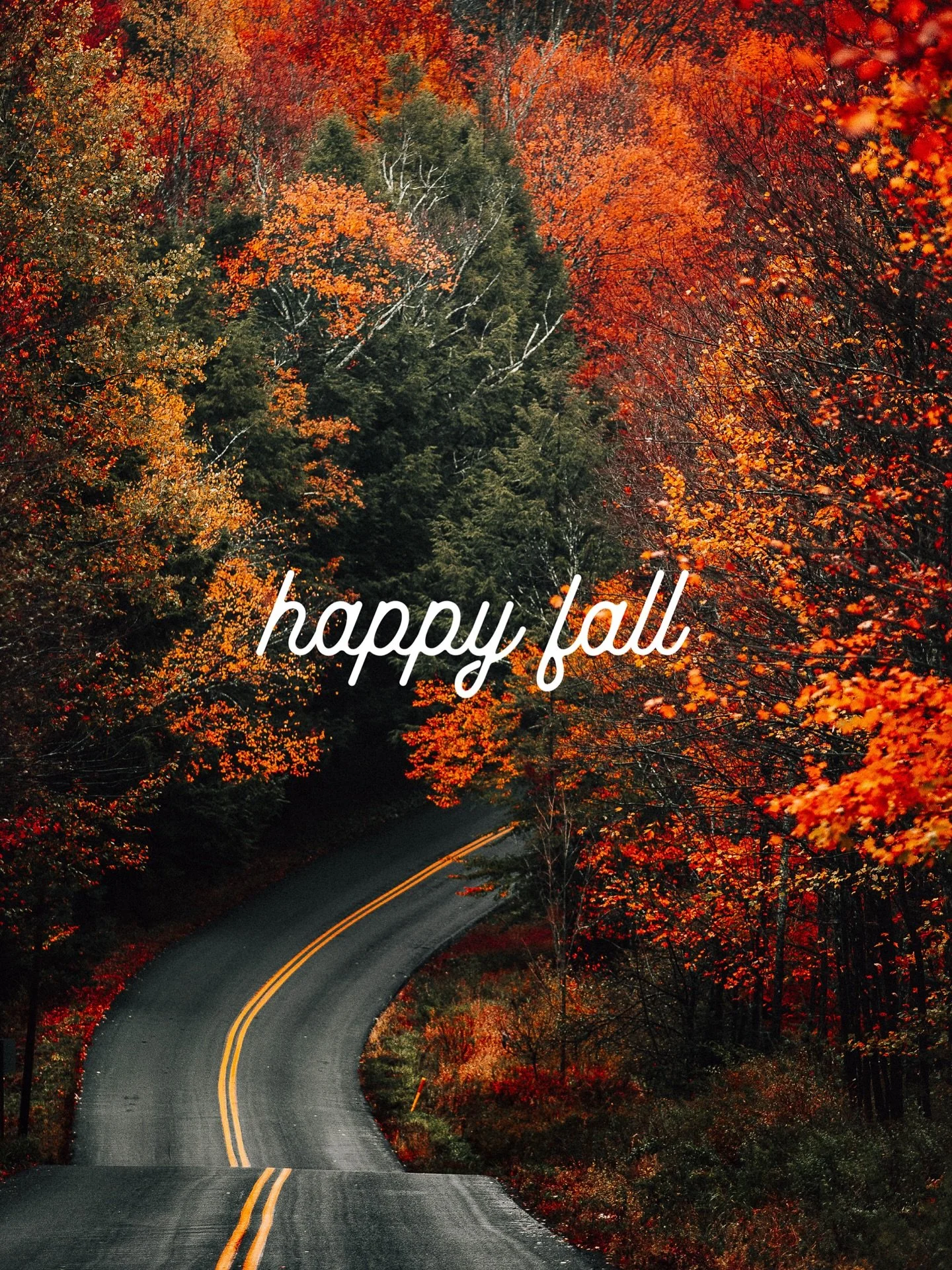Happy Fall from Grand County!  The snow will be here soon, bringing all the winter activities we love so much.  From downhill at Winter Park and Granby Ranch to cross county skiing at YMCA (my personal fav) and secret spots throughout the county.  En