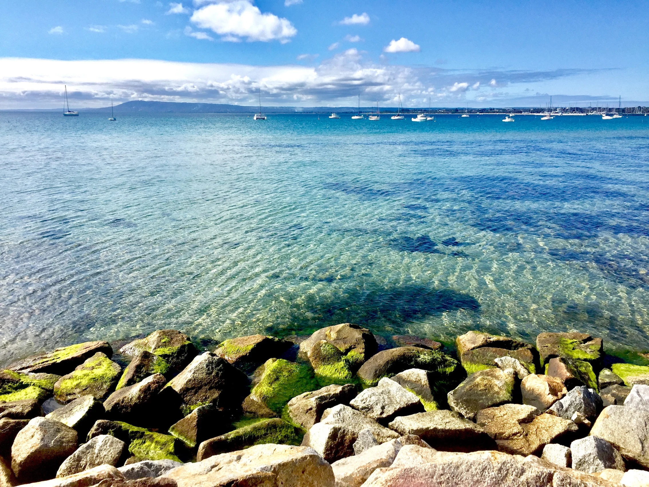 Arthurs Seat from Sorrento.jpg