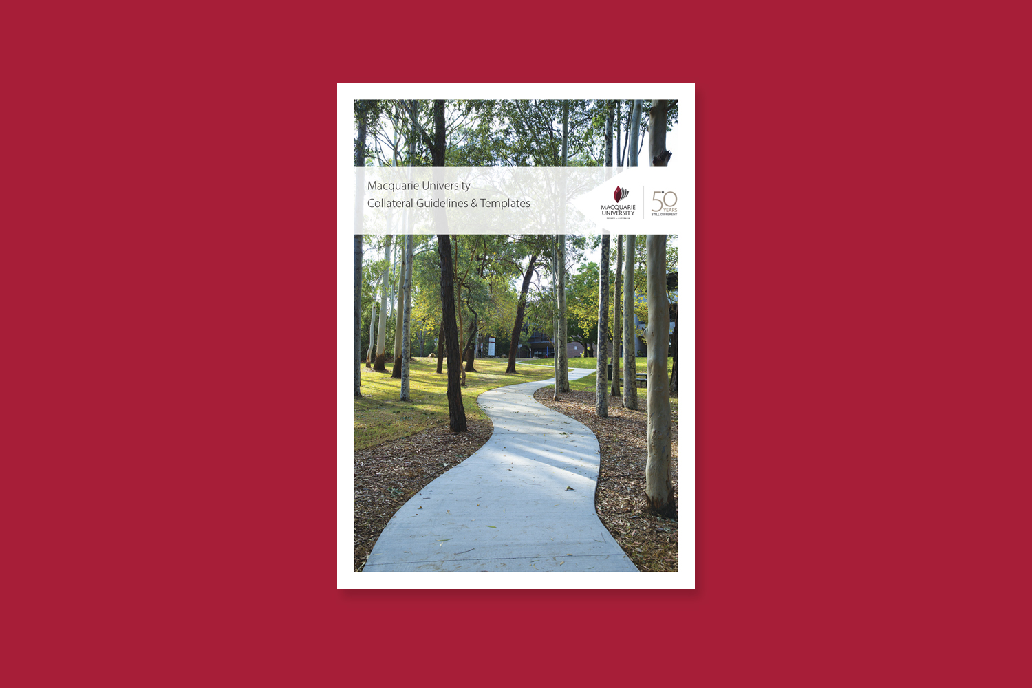 Macquarie University - Tim King Graphic Design - Cover Image.jpg