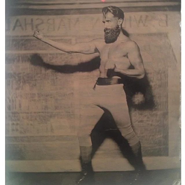 bearded-boxer.jpg